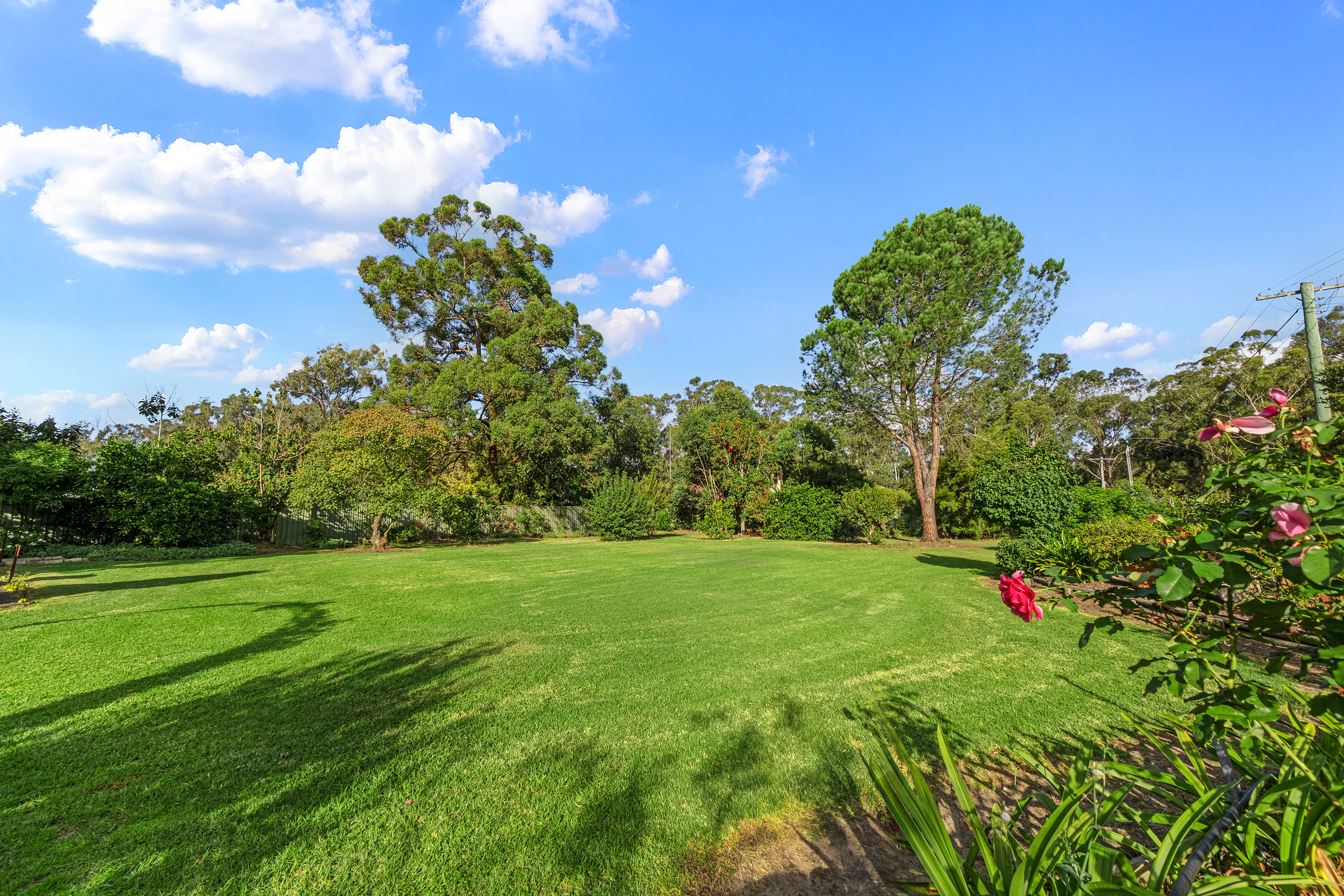 27 Blackwood Road, Vineyard Sold by Cutcliffe Properties - image 16