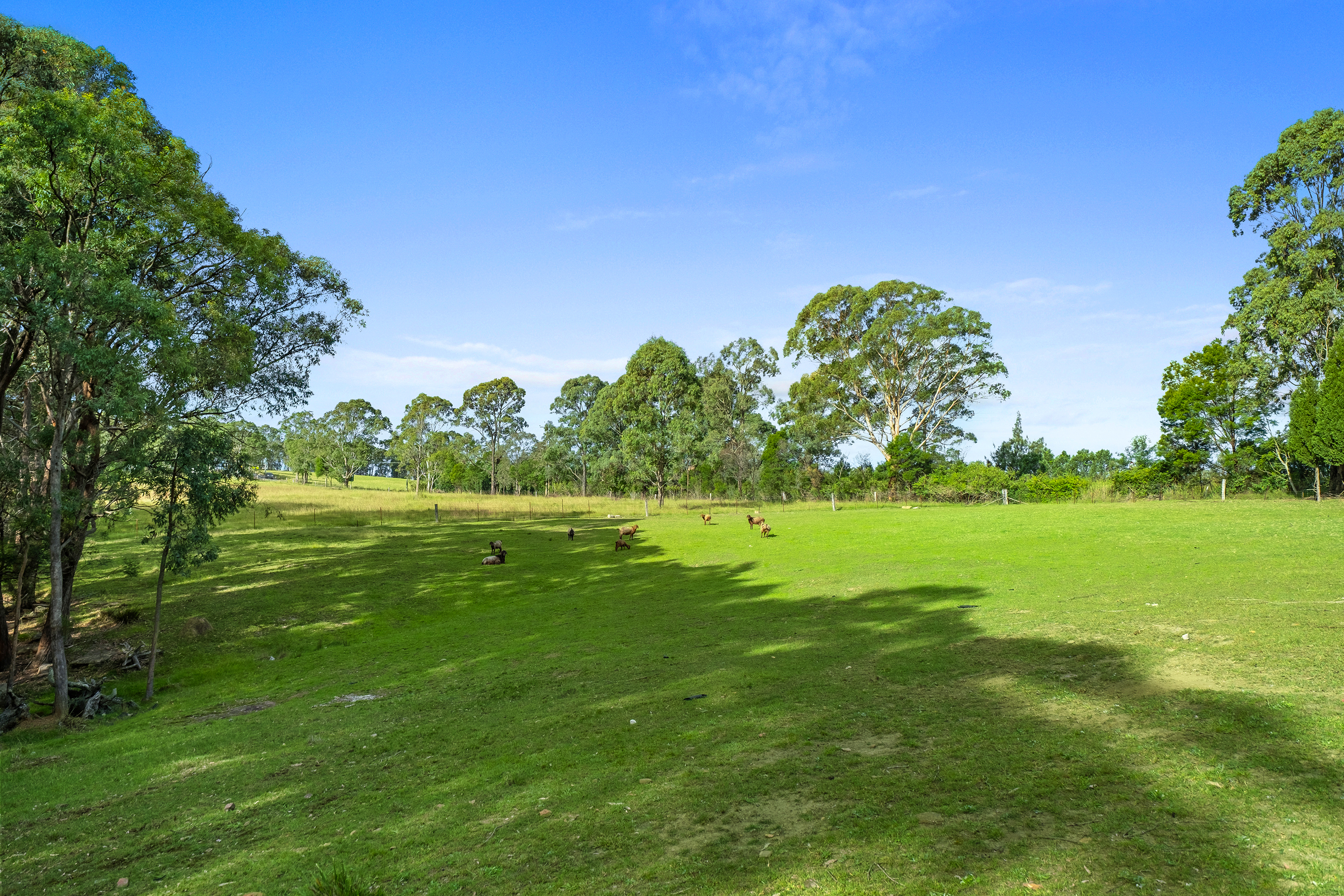 1178 Wisemans Ferry Road, South Maroota For Sale by Cutcliffe Properties - image 33