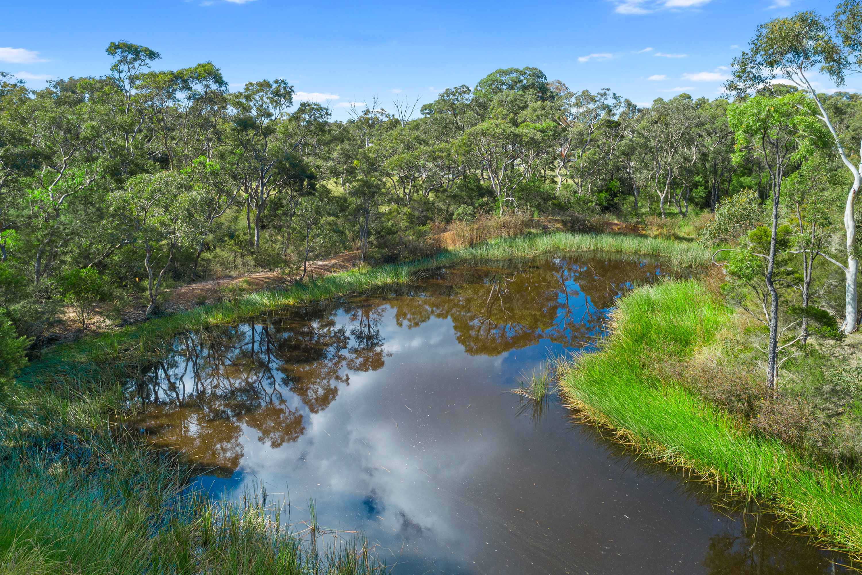 63-67 Taylor Road, Cranebrook For Sale by Cutcliffe Properties - image 17