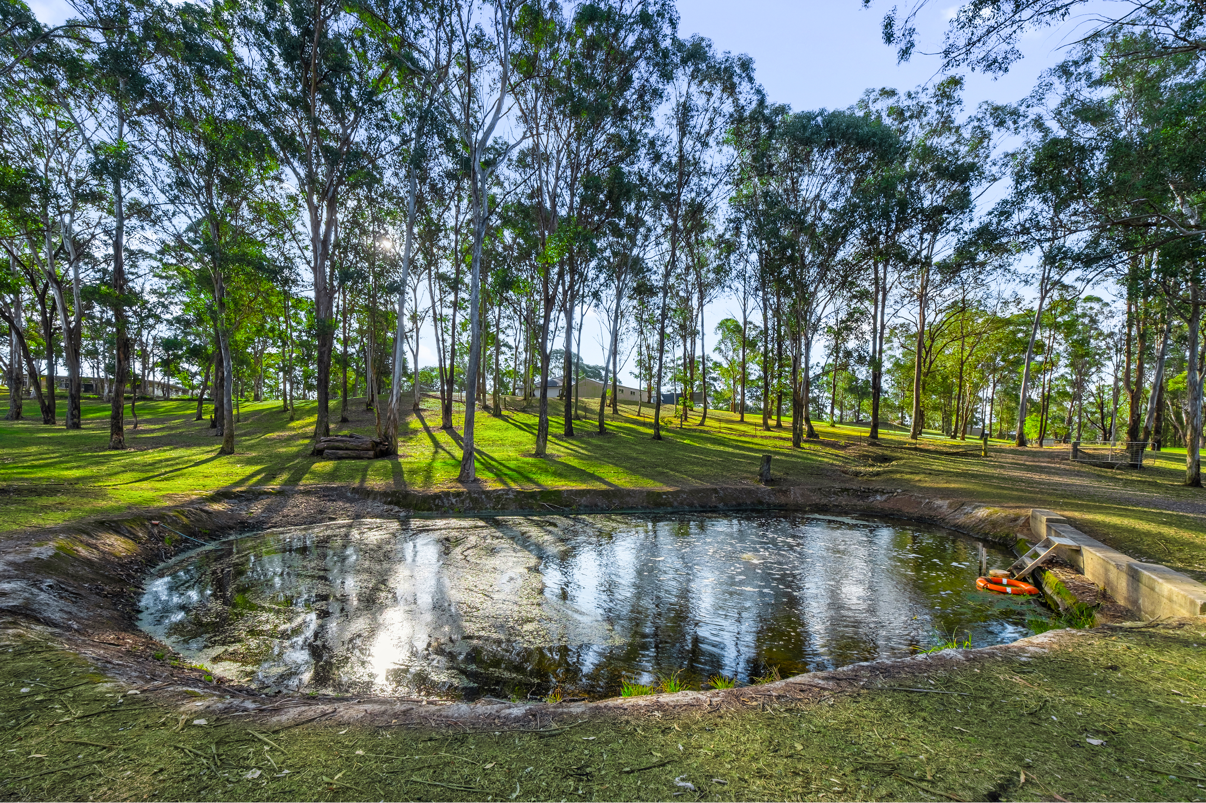 335 Littlefields Road, Mulgoa For Sale by Cutcliffe Properties - image 32