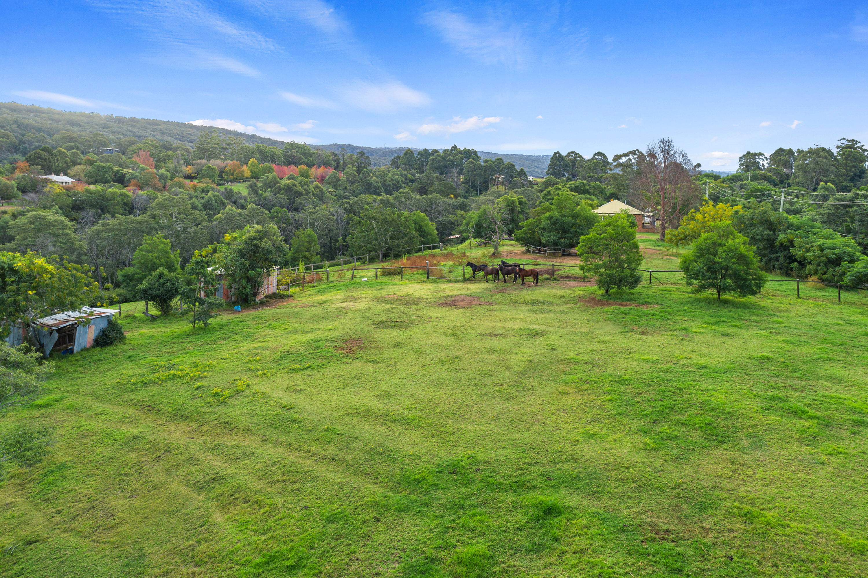 18 Carters Road, Grose Vale For Sale by Cutcliffe Properties - image 4