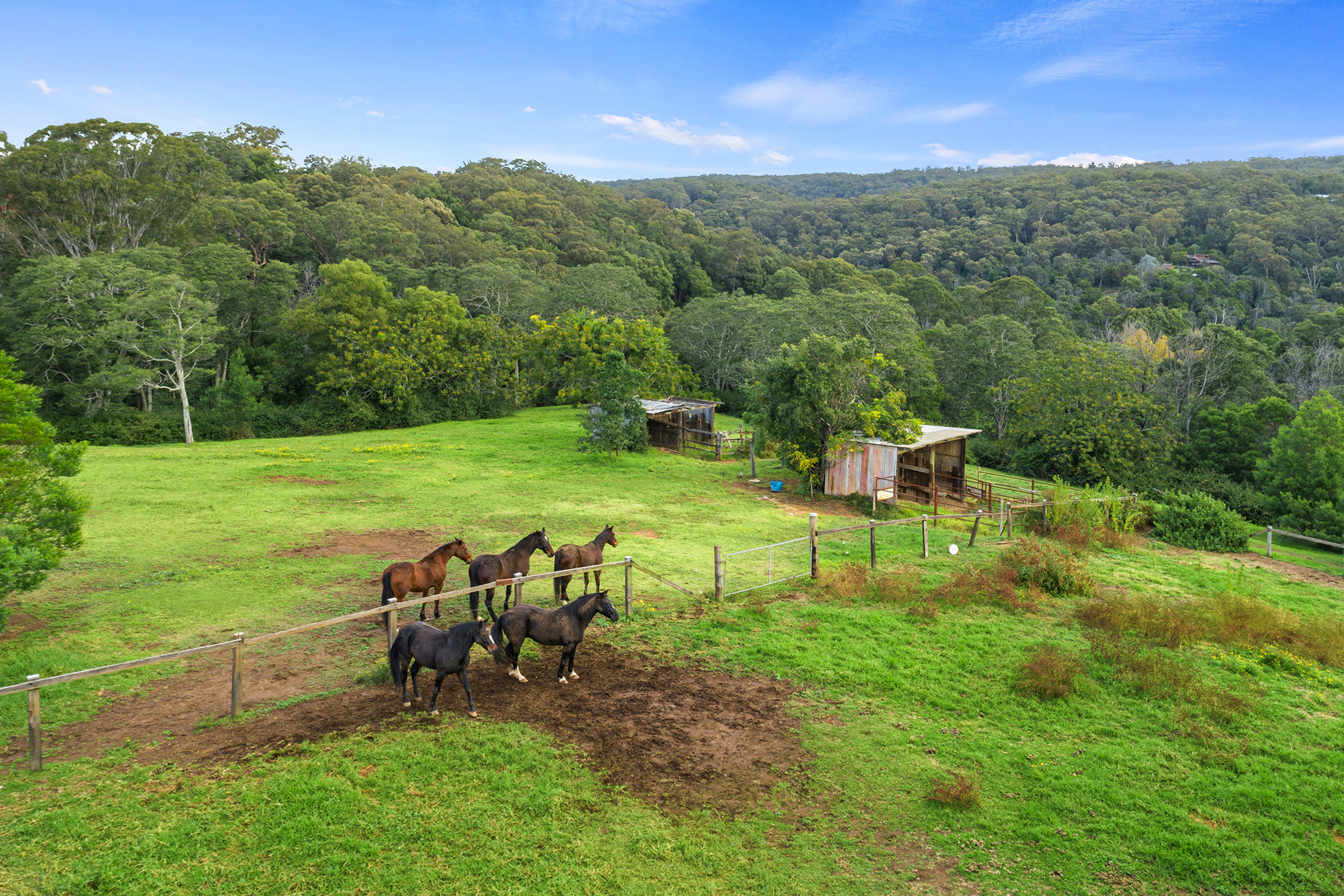 18 Carters Road, Grose Vale For Sale by Cutcliffe Properties - image 14