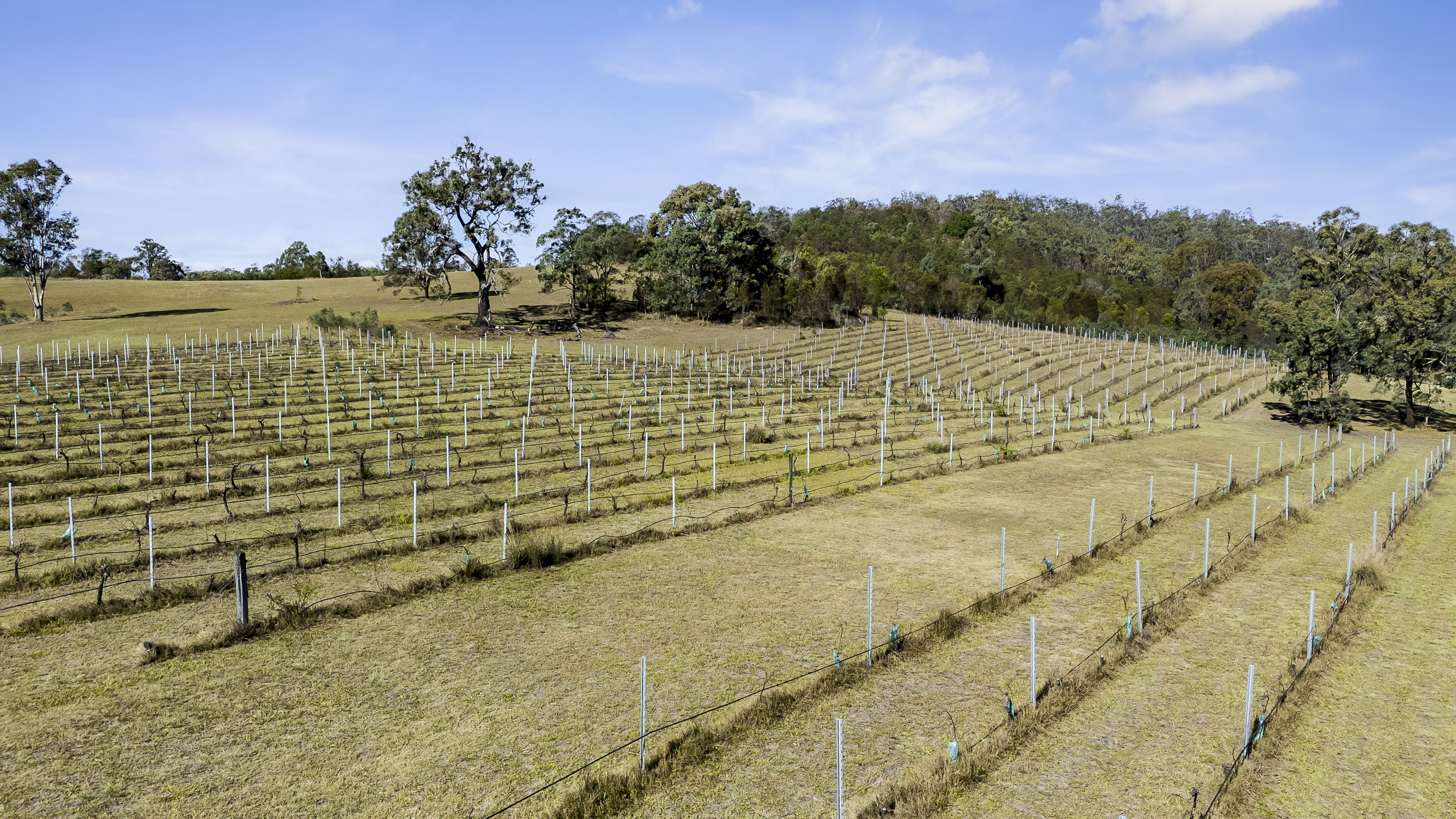 5835 Putty Road, Howes Valley For Sale by Cutcliffe Properties - image 22