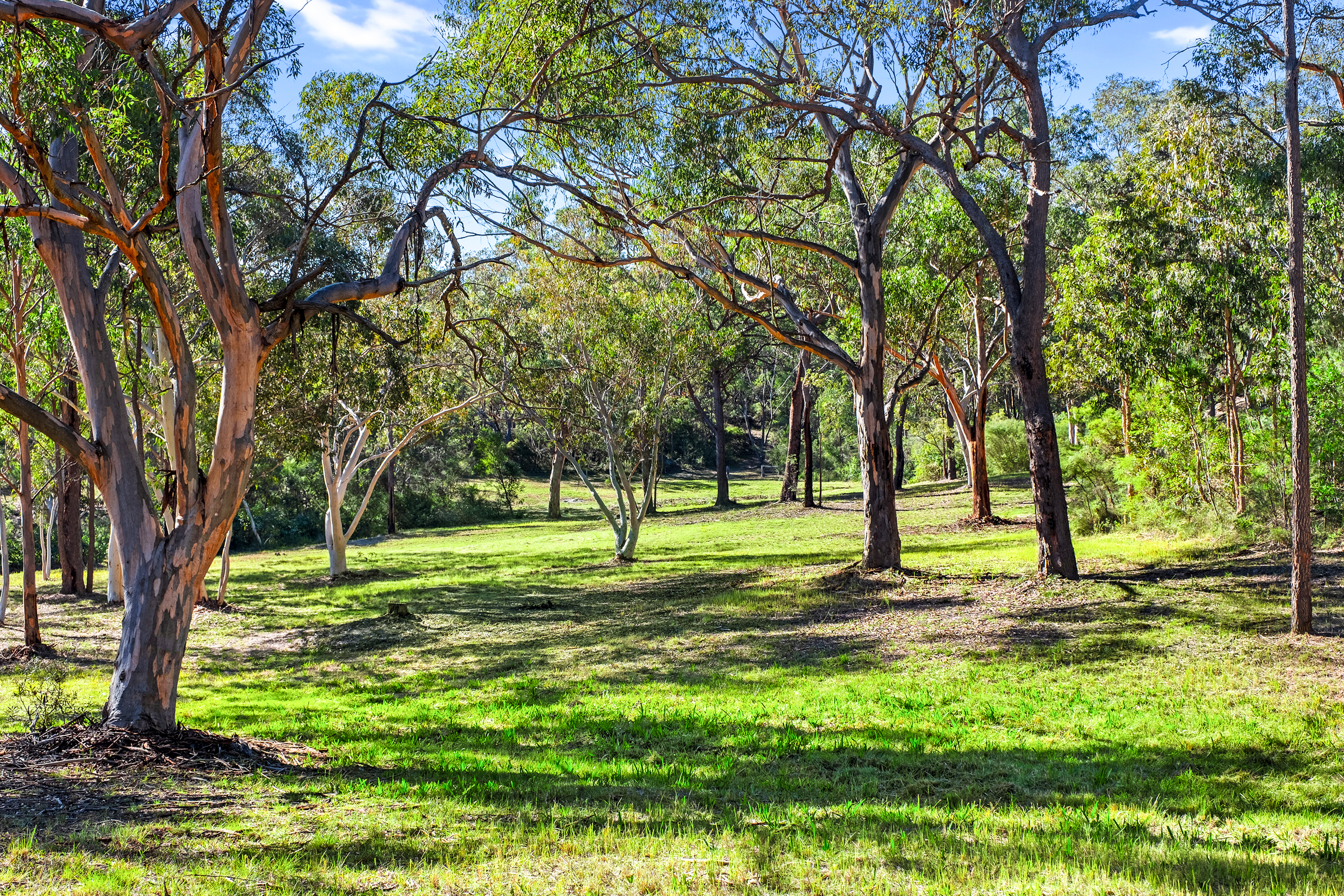 235 Halcrows Road, Glenorie For Sale by Cutcliffe Properties - image 33