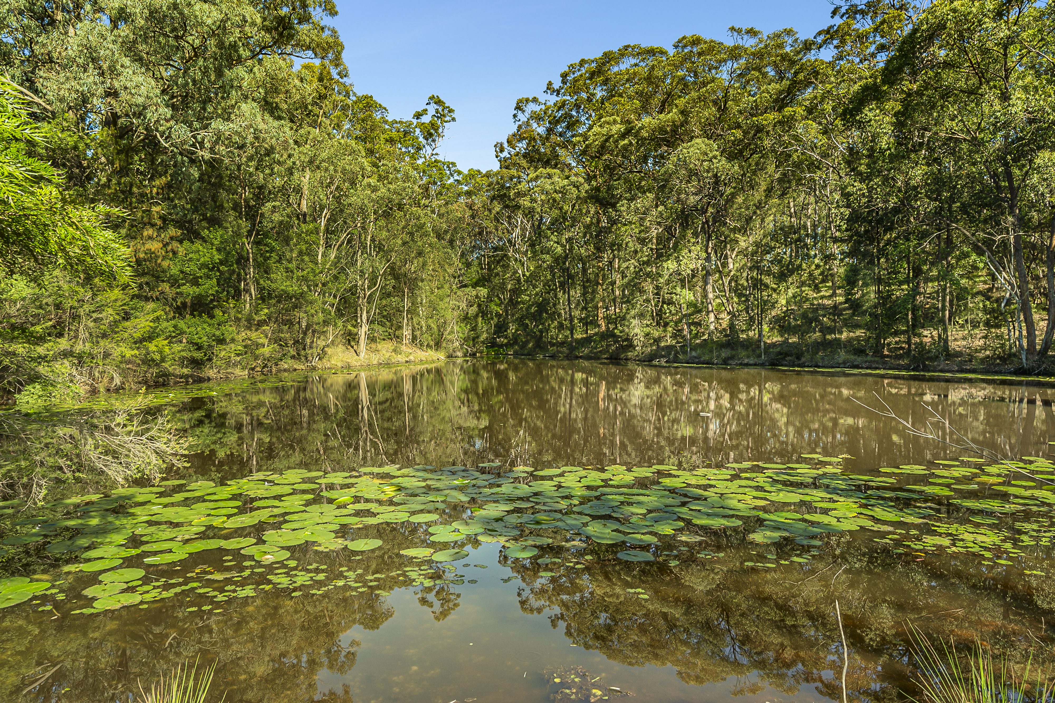 Kurrajong Auction by Cutcliffe Properties - image 24