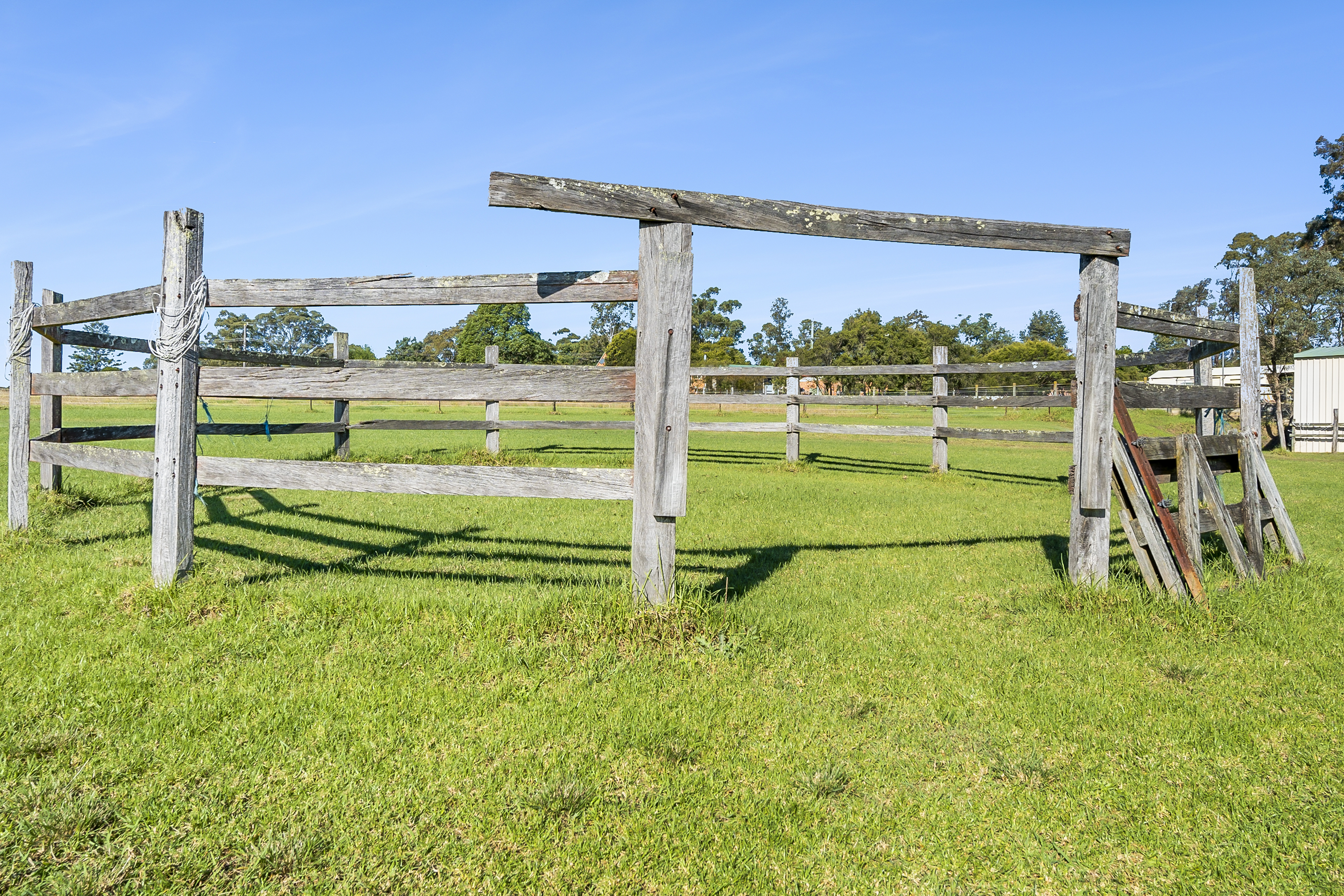 Kurrajong Auction by Cutcliffe Properties - image 19