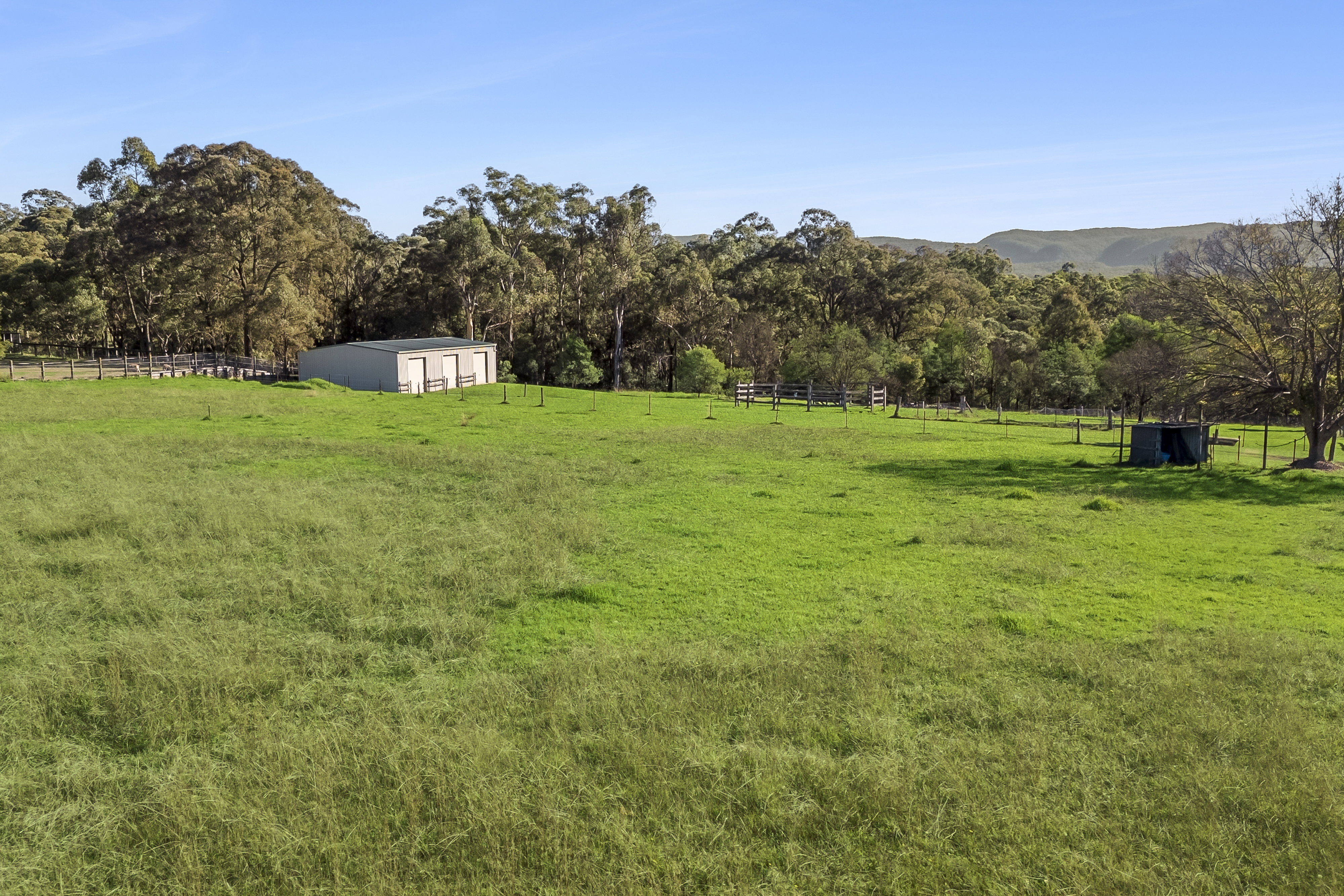 Kurrajong Auction by Cutcliffe Properties - image 20