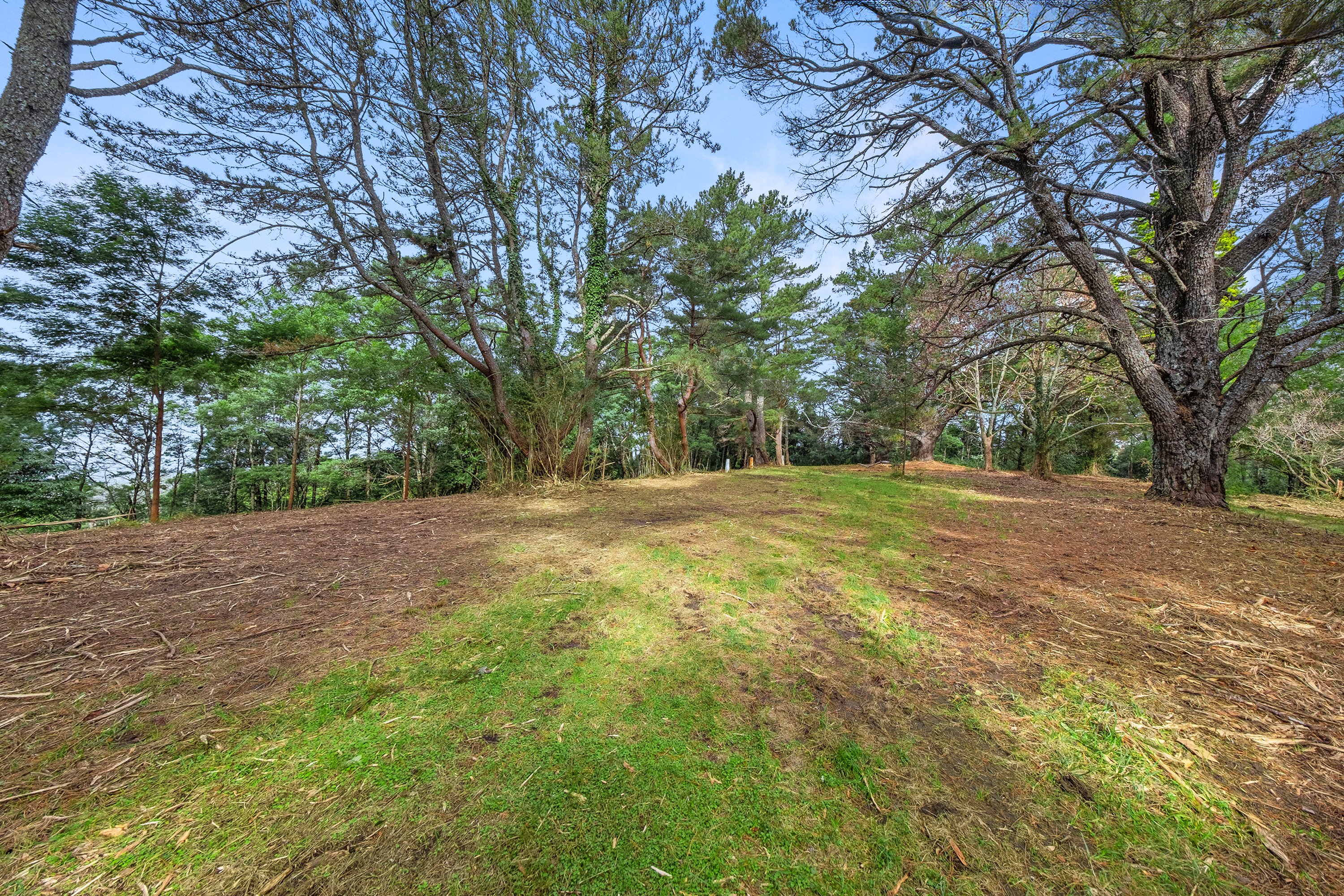 49 Burralow Road, Kurrajong Heights Auction by Cutcliffe Properties - image 9