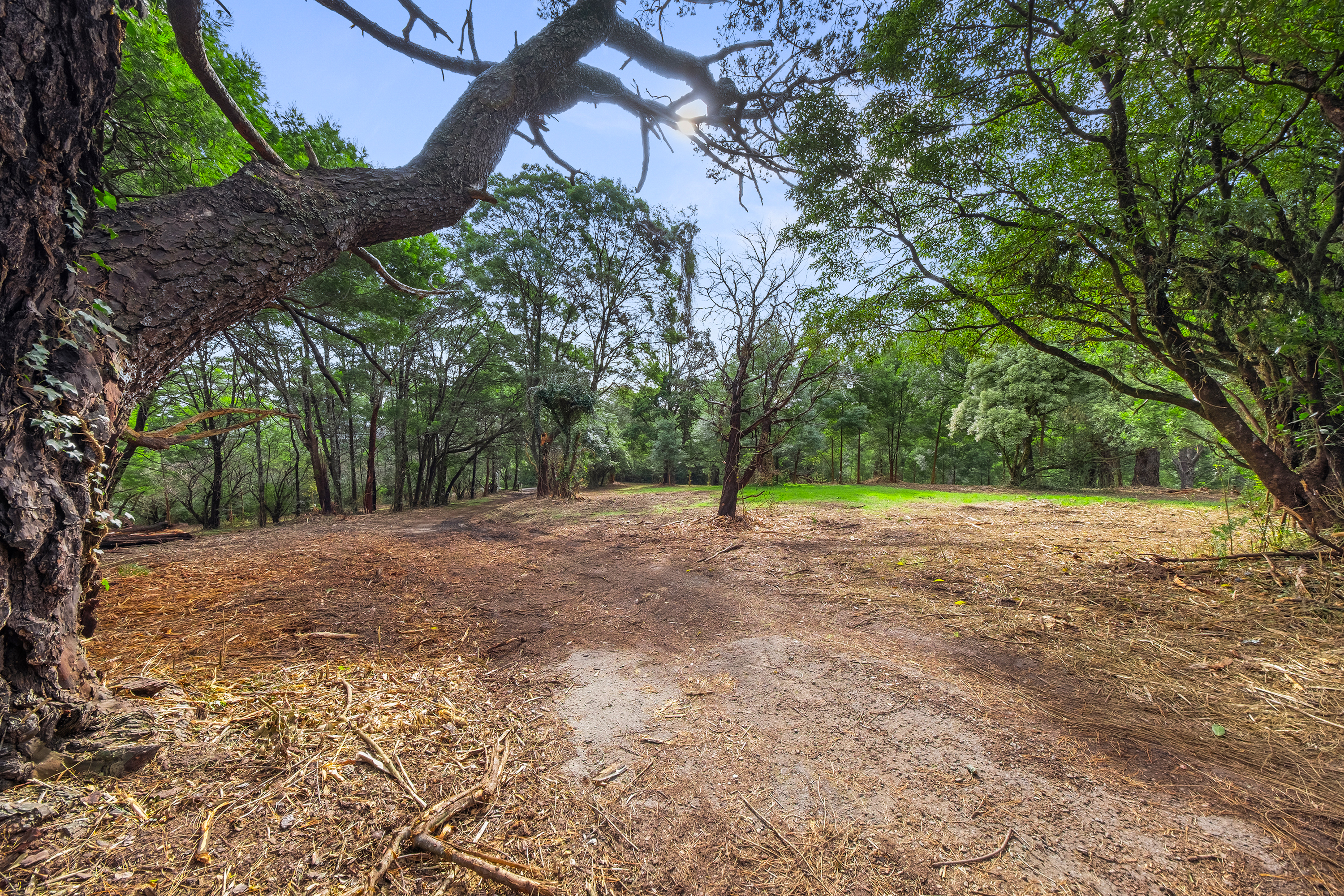 49 Burralow Road, Kurrajong Heights Auction by Cutcliffe Properties - image 6