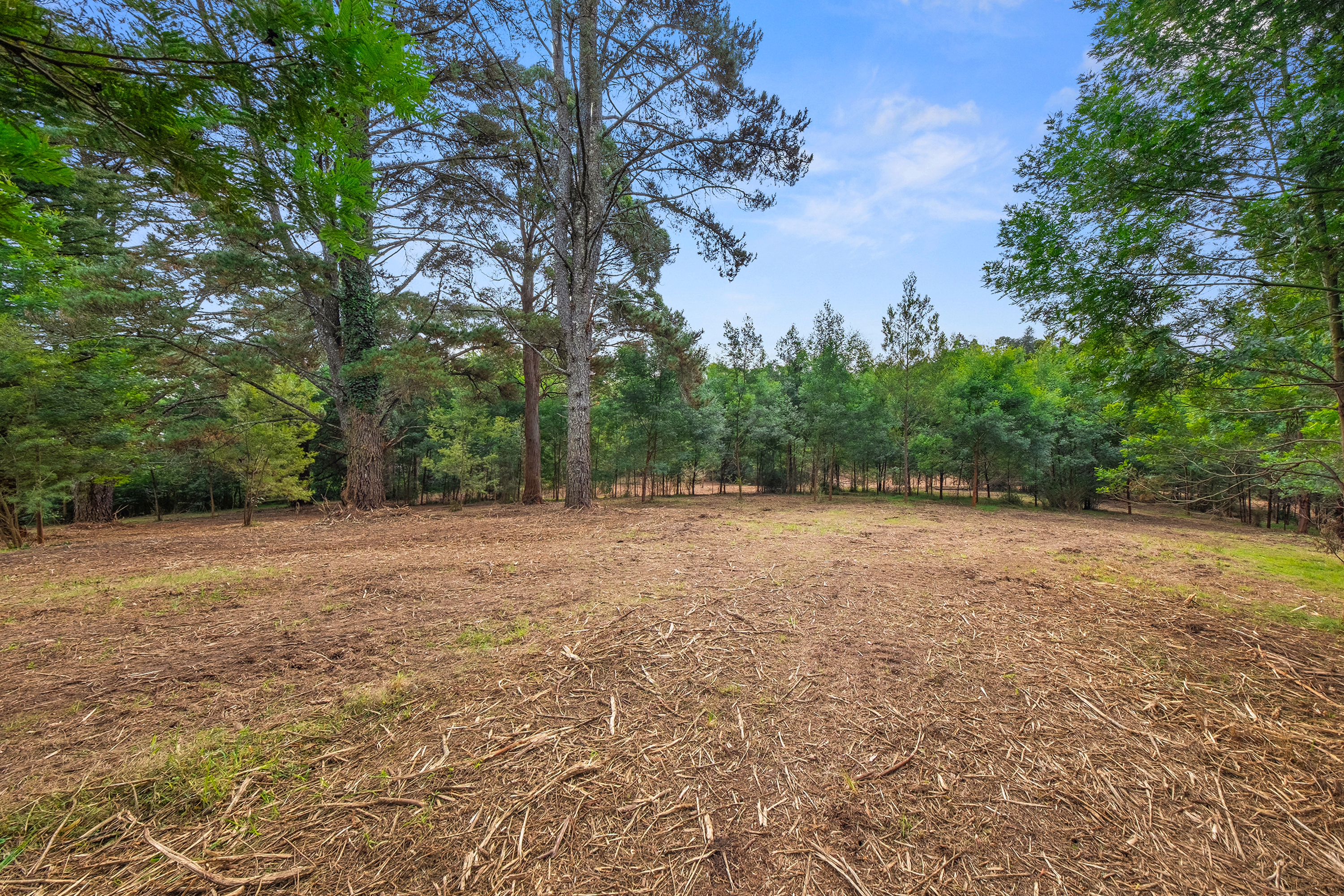 49 Burralow Road, Kurrajong Heights Auction by Cutcliffe Properties - image 5