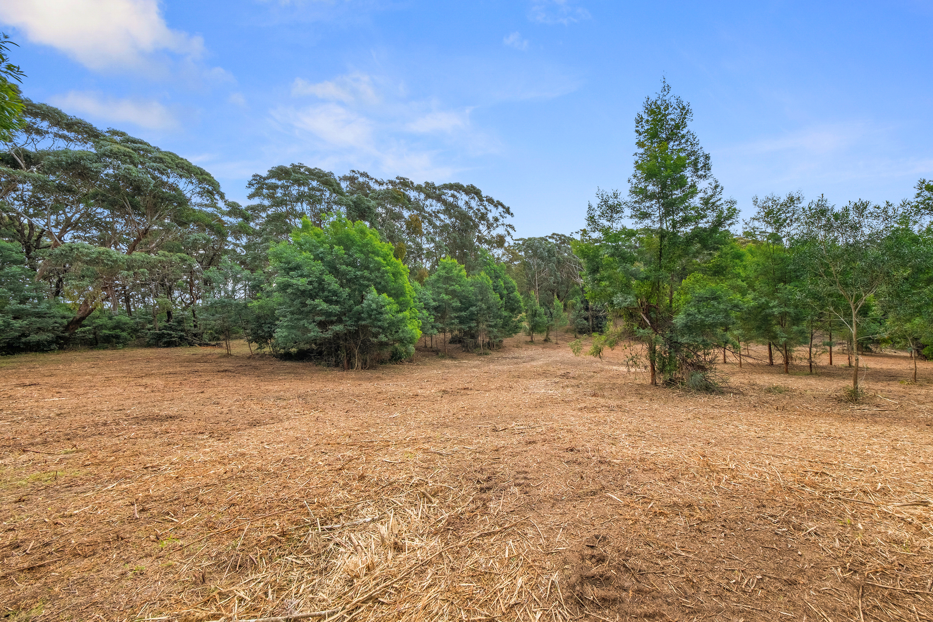 49 Burralow Road, Kurrajong Heights Auction by Cutcliffe Properties - image 7