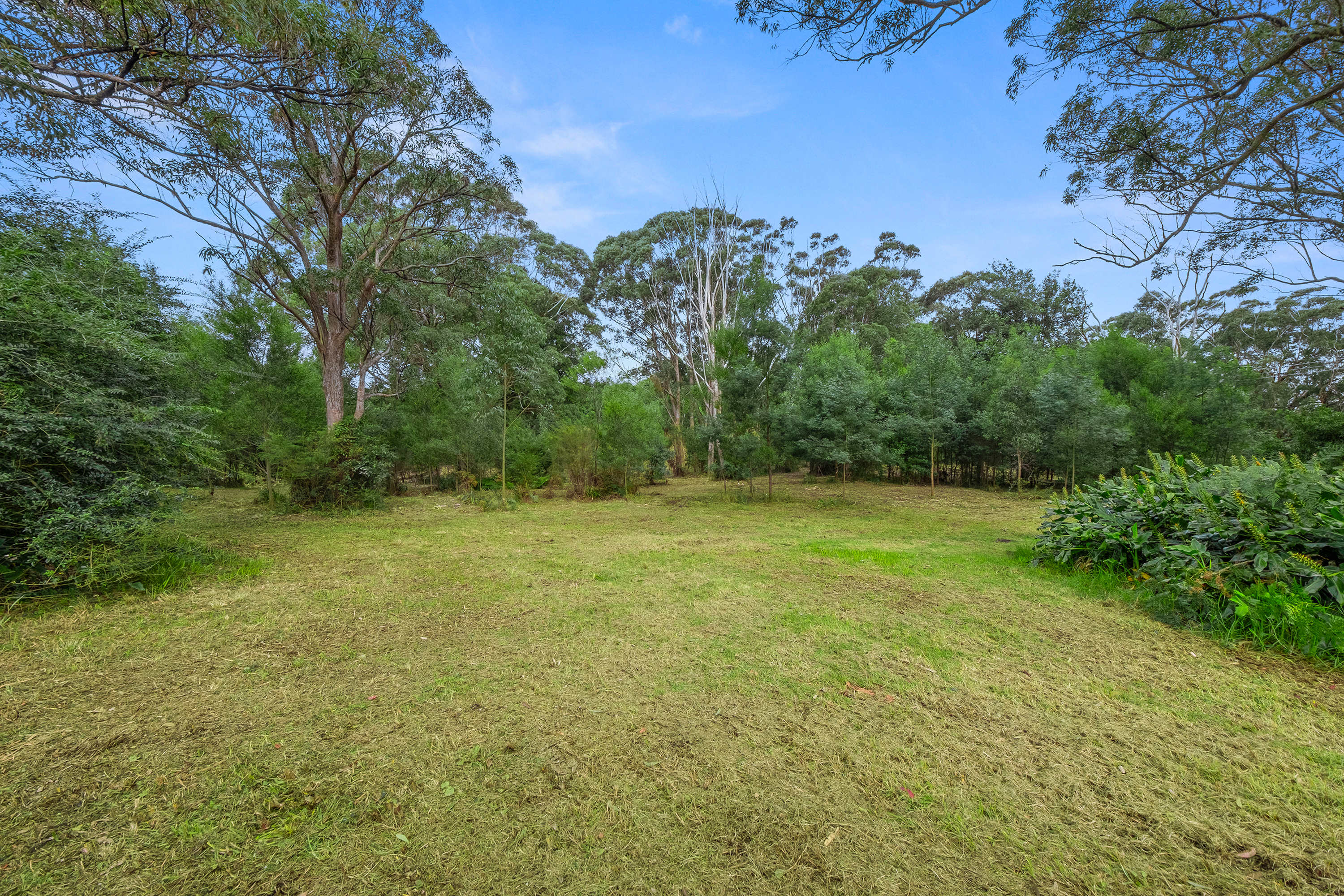 49 Burralow Road, Kurrajong Heights Auction by Cutcliffe Properties - image 4