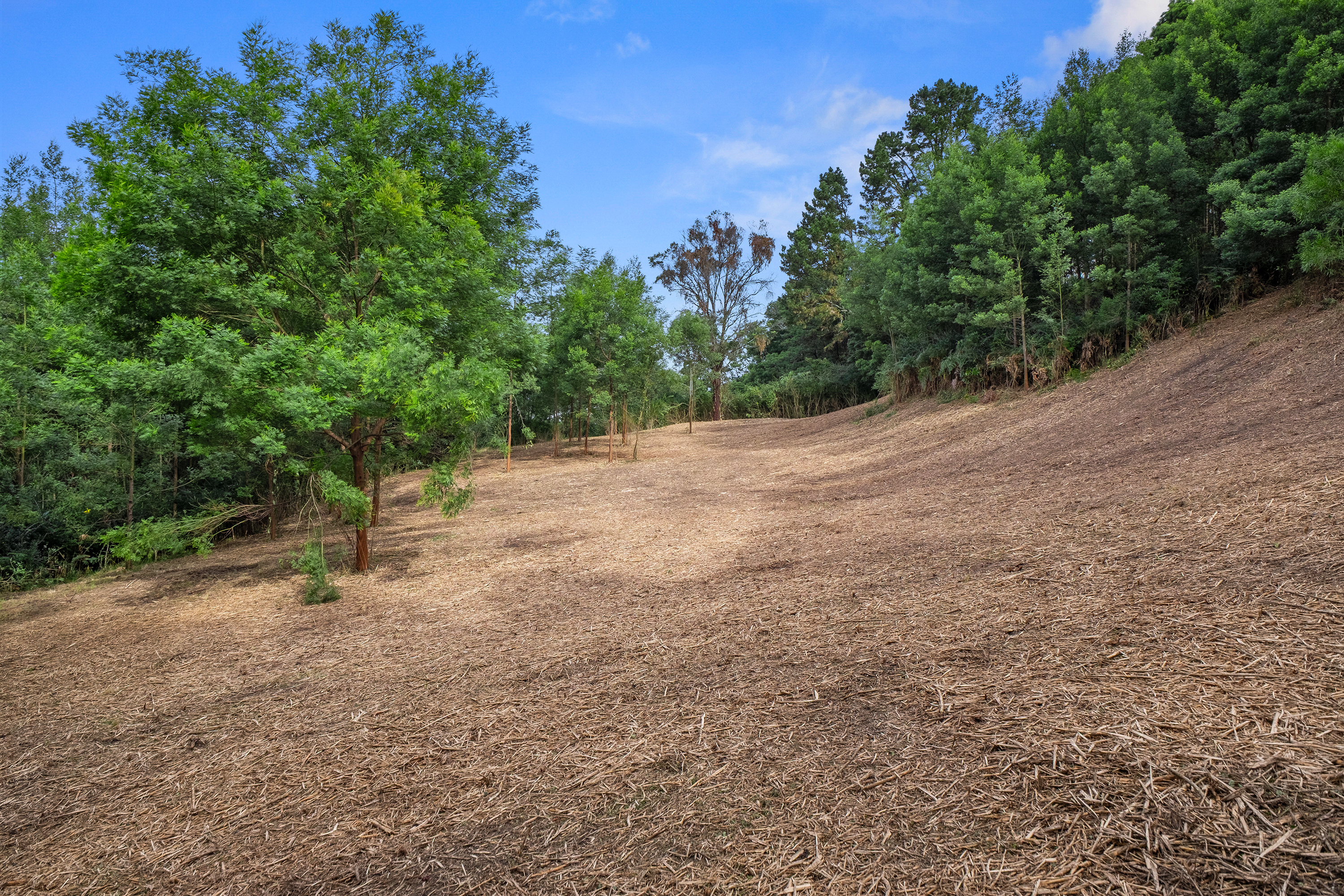 49 Burralow Road, Kurrajong Heights Auction by Cutcliffe Properties - image 8