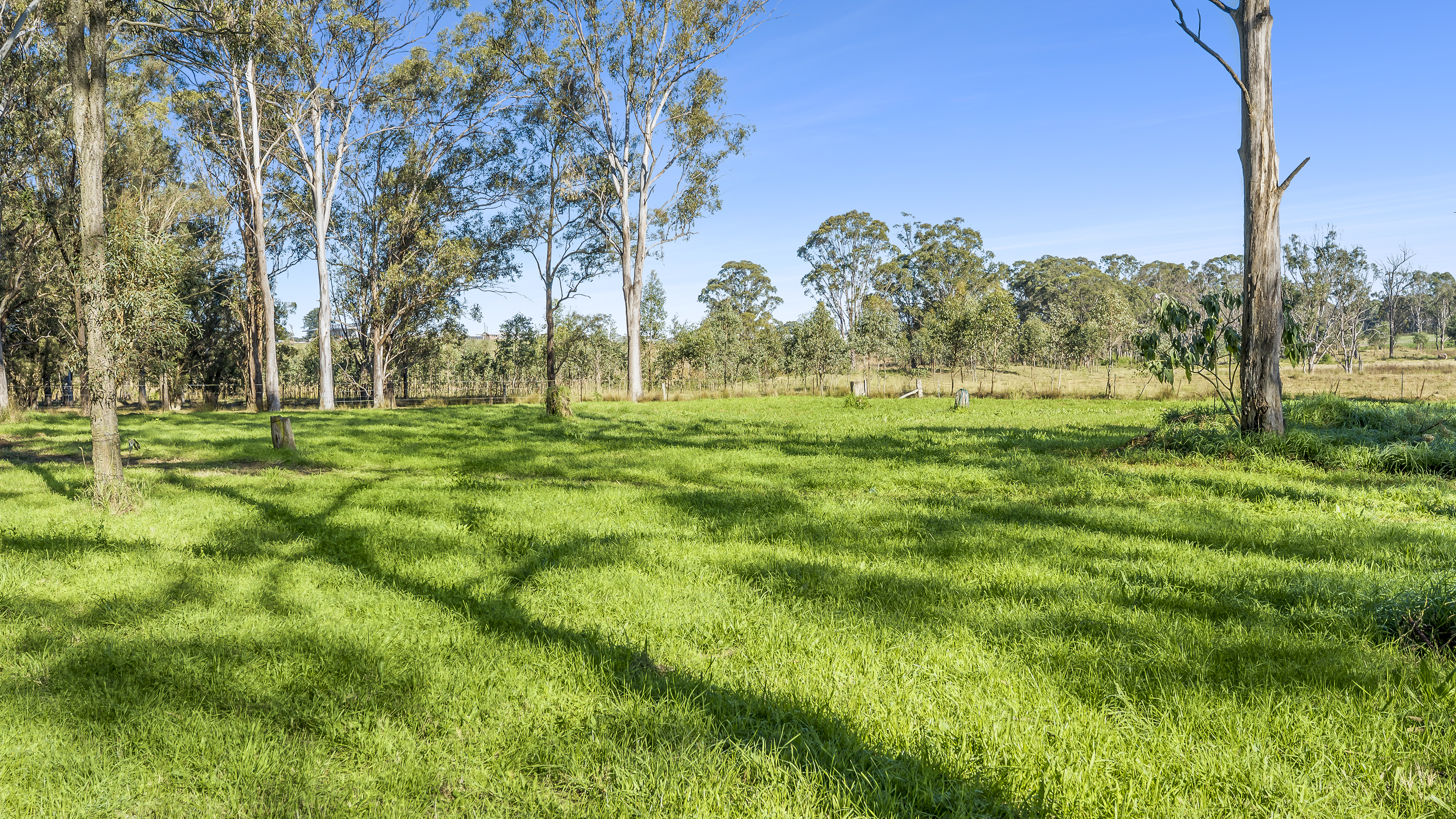 659 Kurmond Road, Freemans Reach For Sale by Cutcliffe Properties - image 23