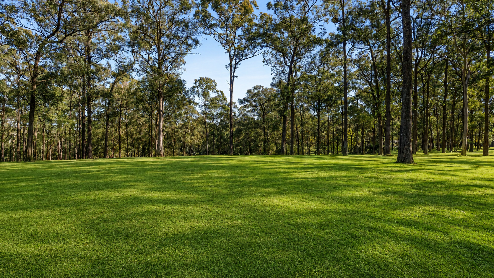 123 Vincents Road, Kurrajong For Sale by Cutcliffe Properties - image 12