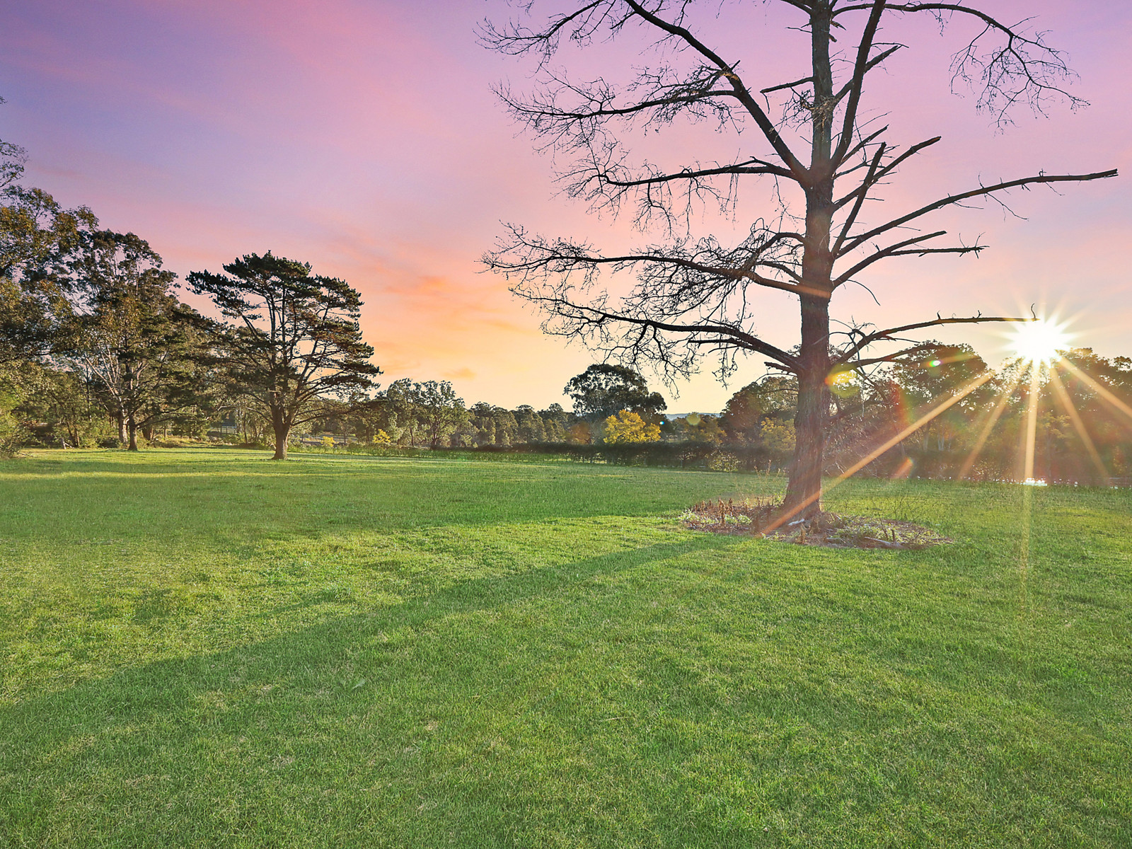 82 Stannix Park Lane, Wilberforce For Sale by Cutcliffe Properties - image 22