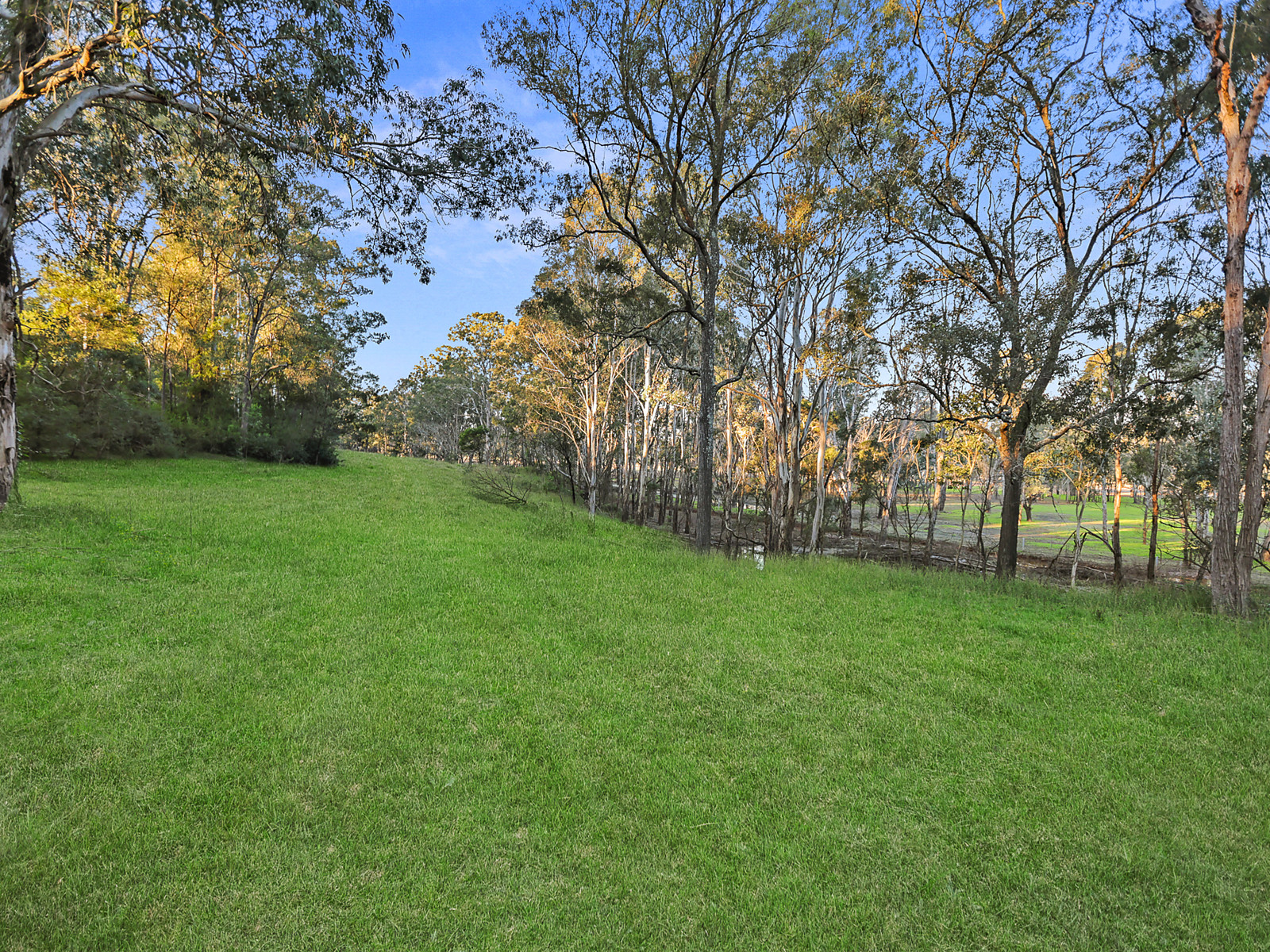 82 Stannix Park Lane, Wilberforce For Sale by Cutcliffe Properties - image 30