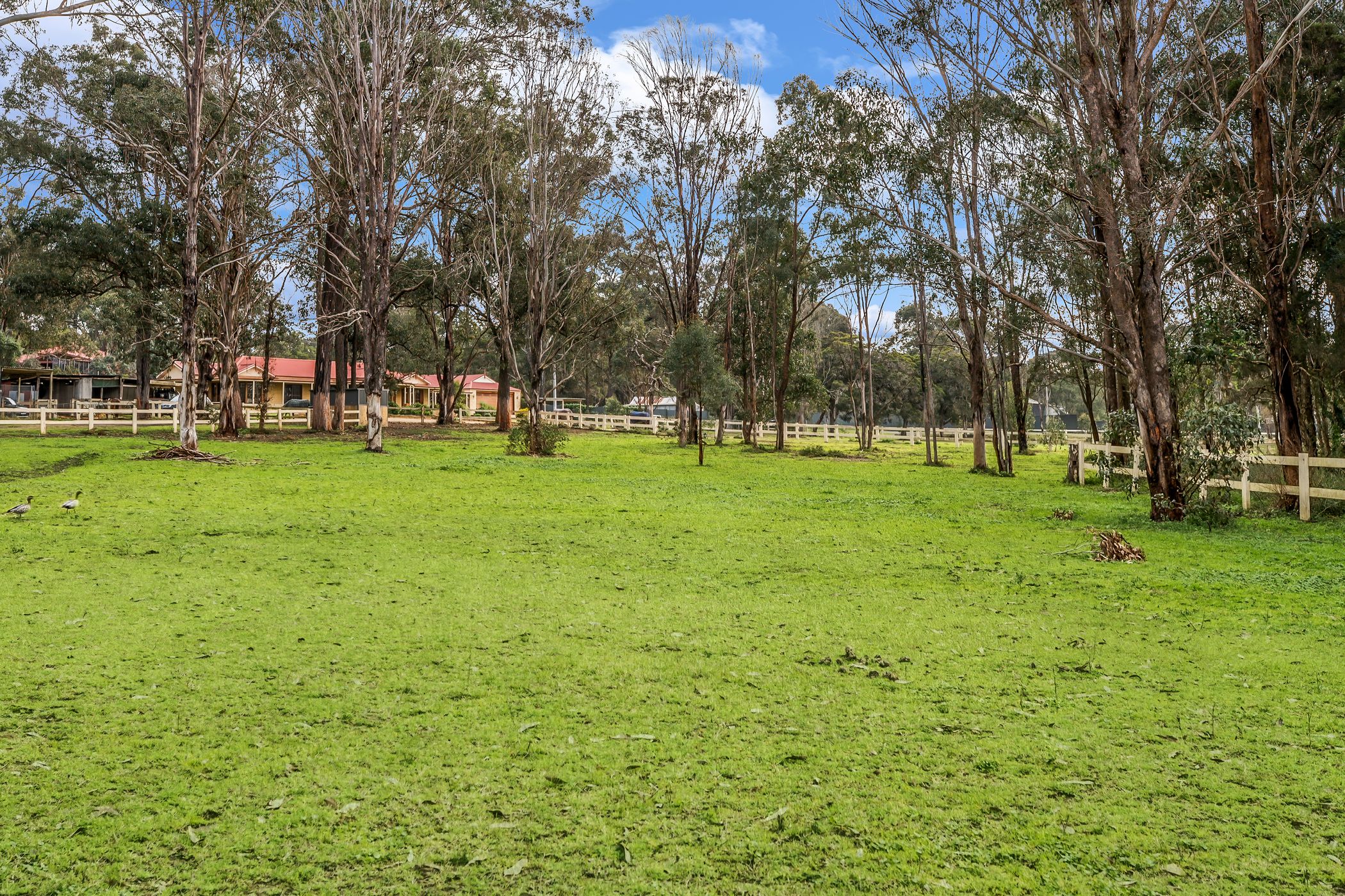 1 Avondale Road, Pitt Town For Sale by Cutcliffe Properties - image 22