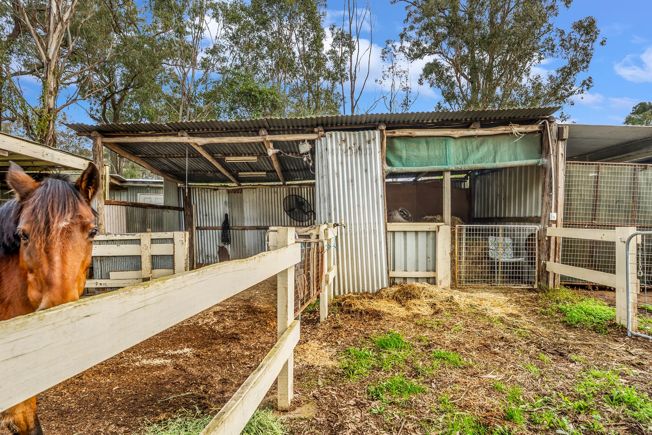 1 Avondale Road, Pitt Town For Sale by Cutcliffe Properties - image 21