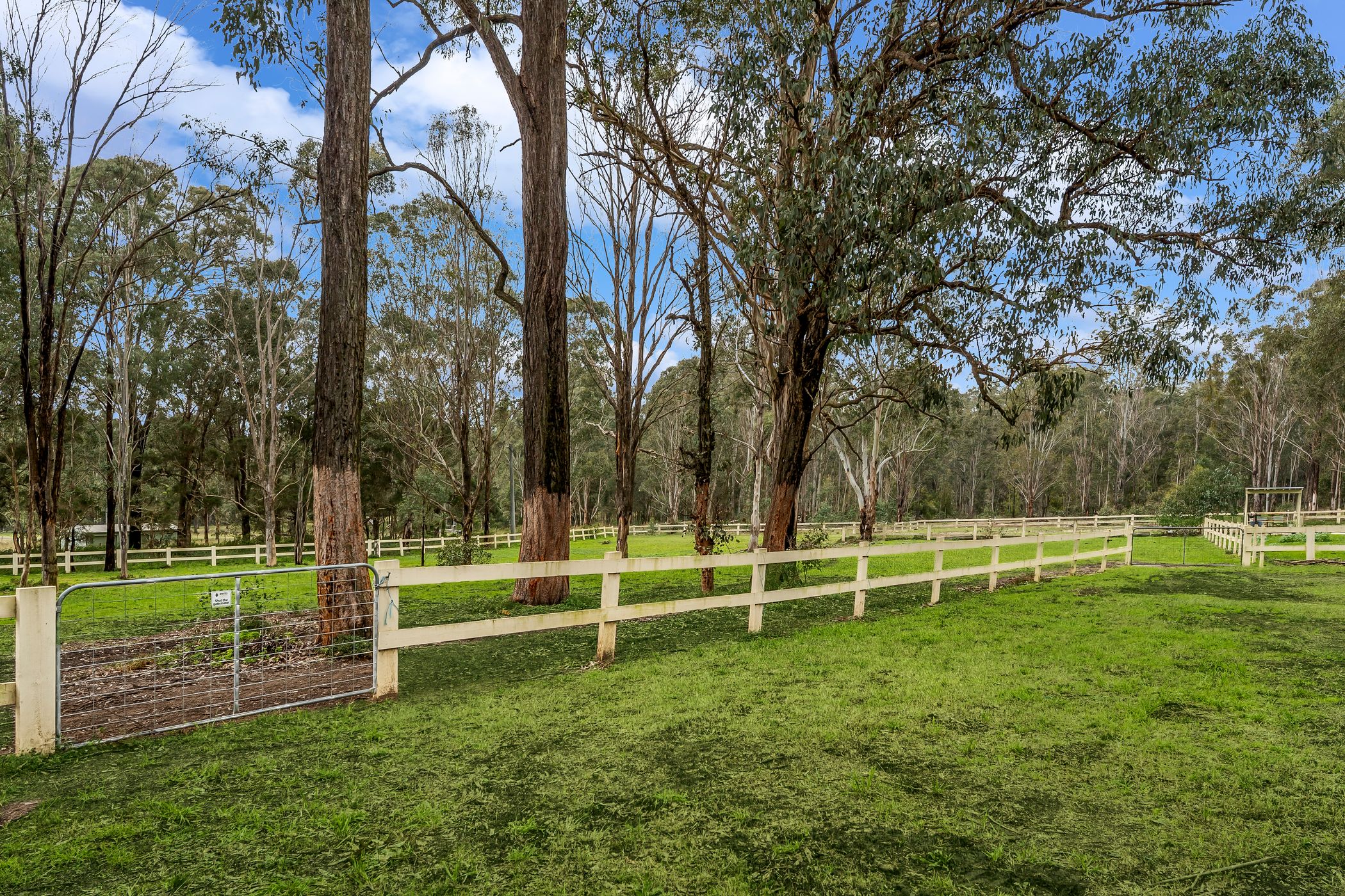 1 Avondale Road, Pitt Town For Sale by Cutcliffe Properties - image 23