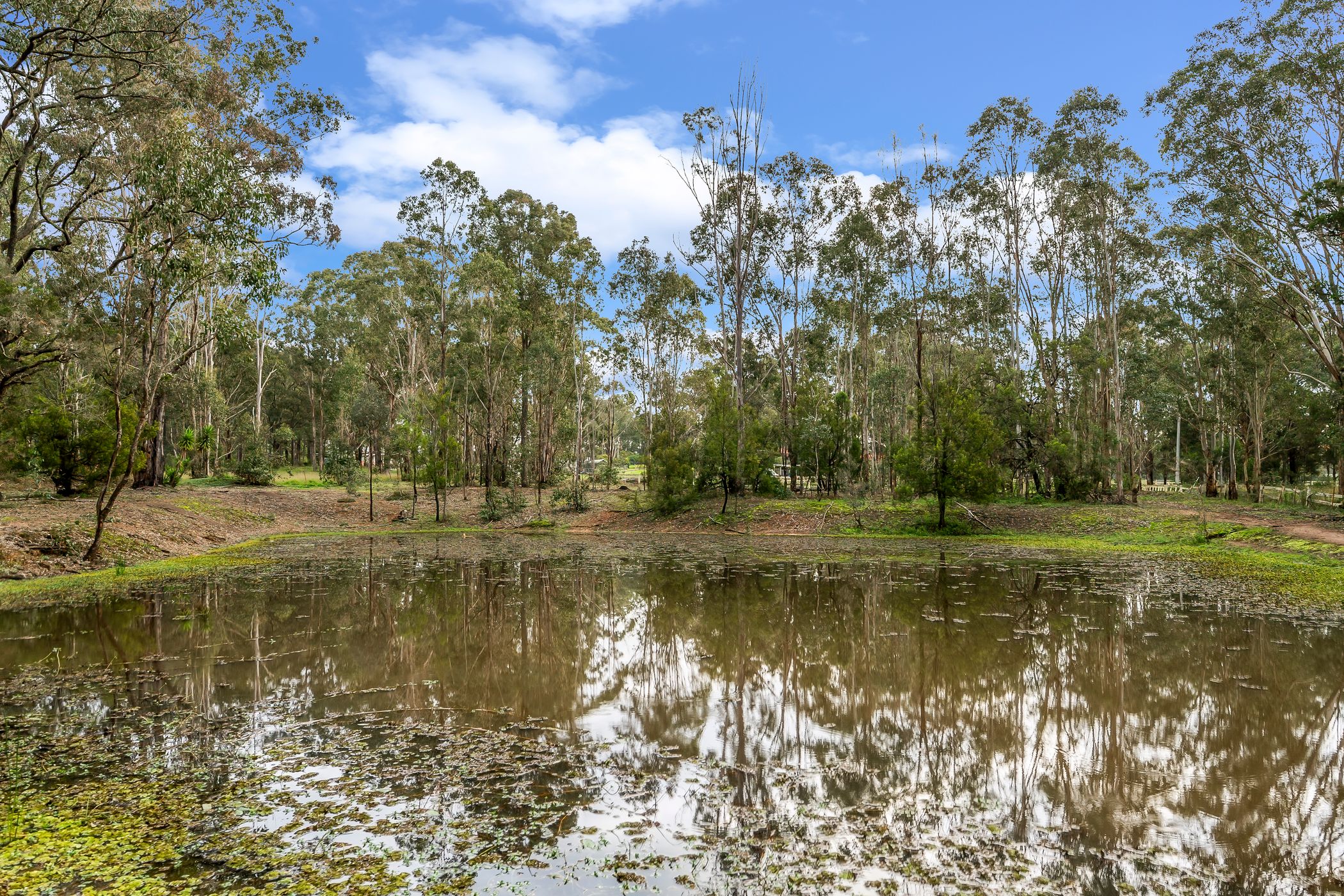 1 Avondale Road, Pitt Town For Sale by Cutcliffe Properties - image 26