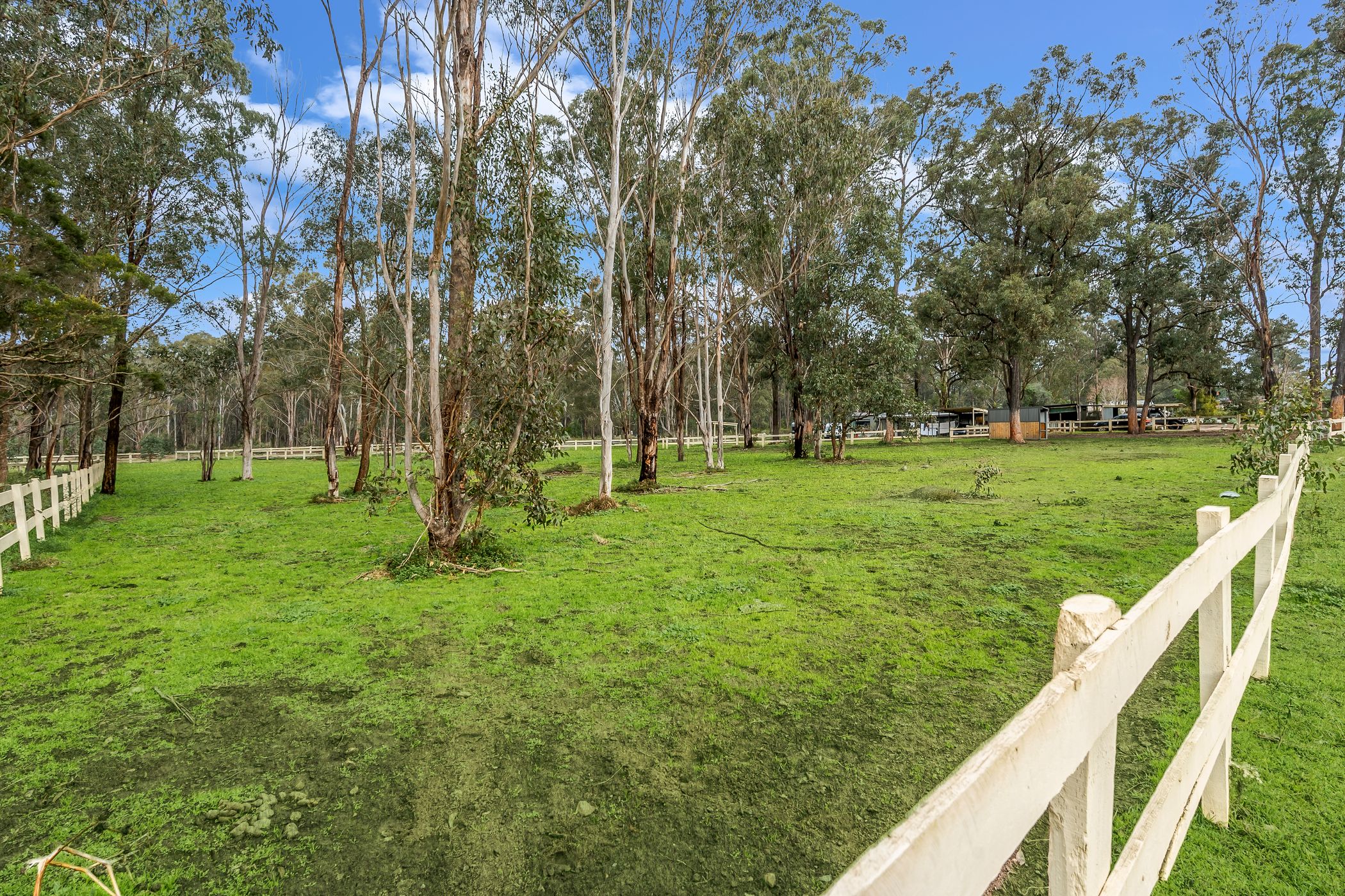 1 Avondale Road, Pitt Town For Sale by Cutcliffe Properties - image 20