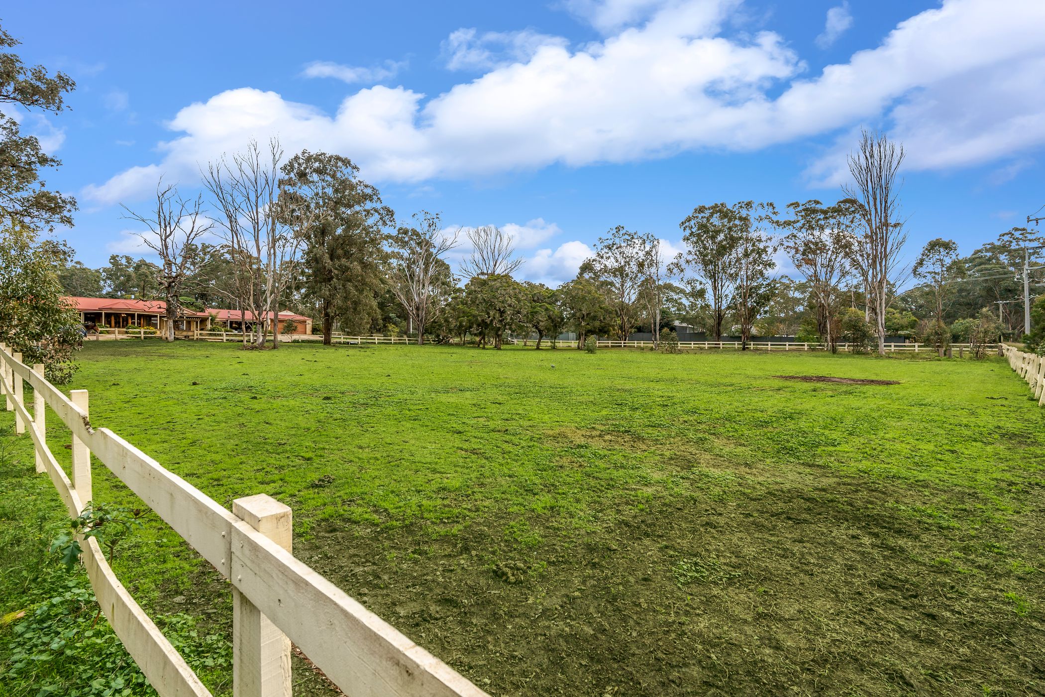 1 Avondale Road, Pitt Town For Sale by Cutcliffe Properties - image 19