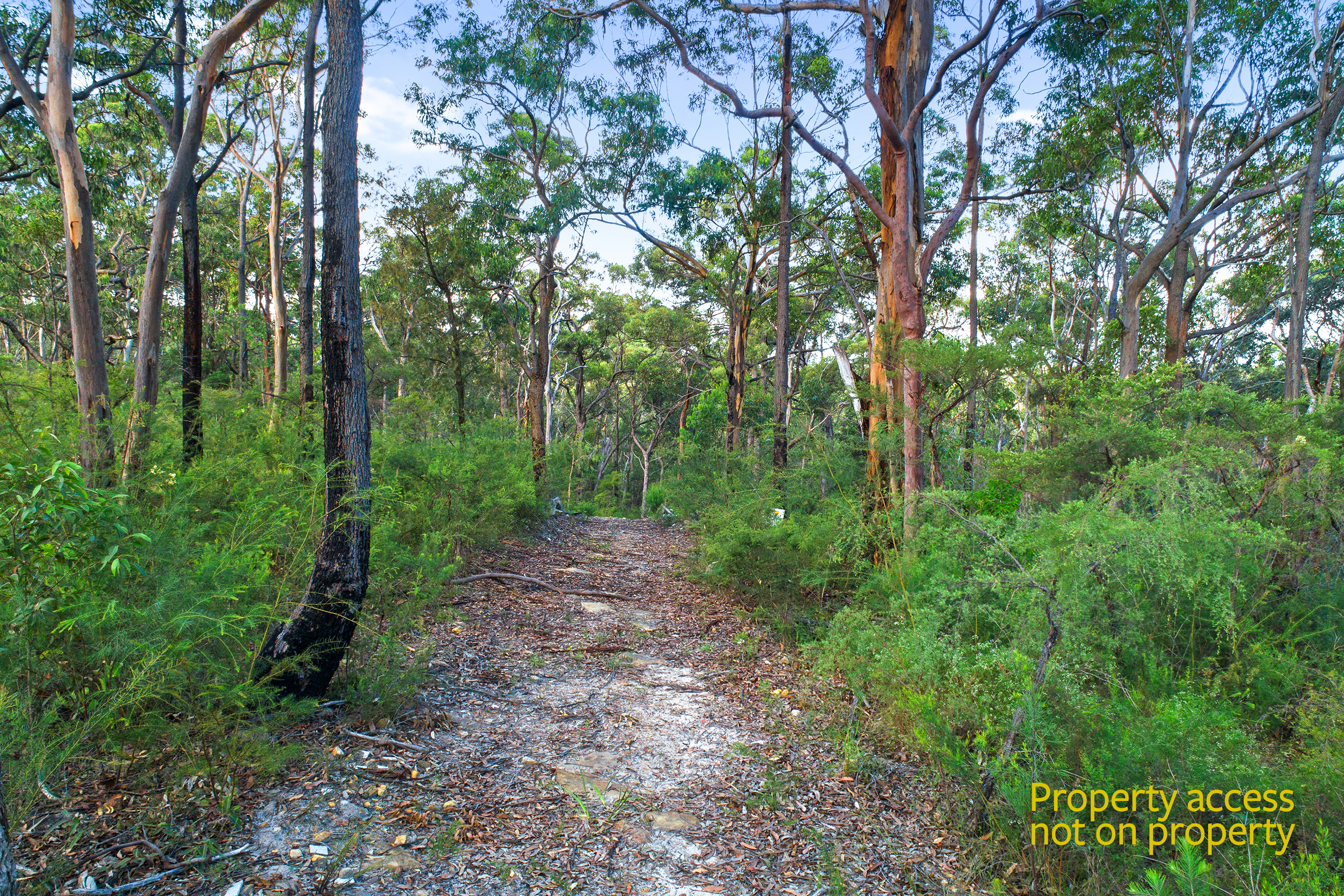 1006A Comleroy Road, Kurrajong, Kurrajong - Thumbnail 2