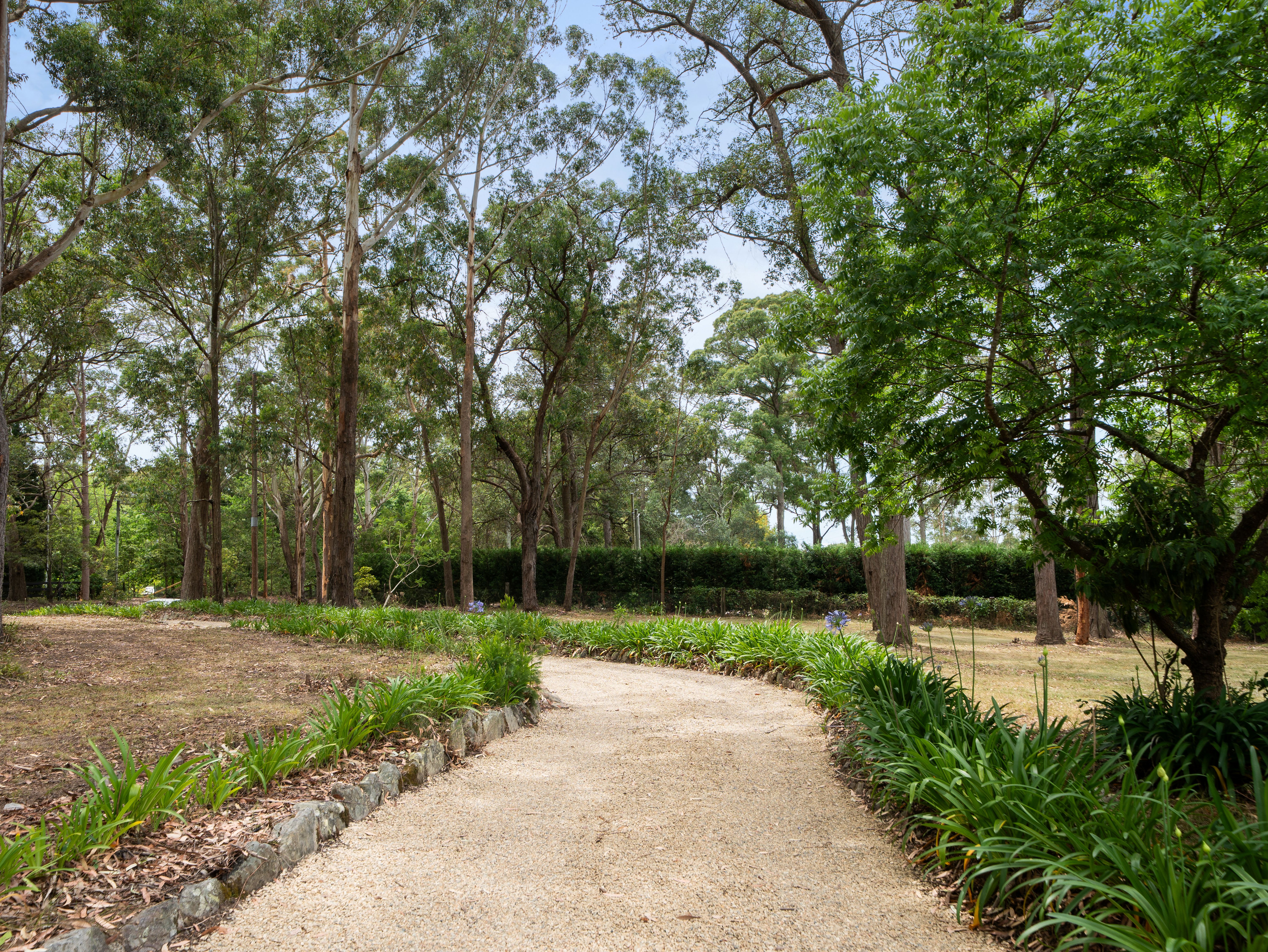 11 Cotswold Road, Dural Auction by Cutcliffe Properties - image 2