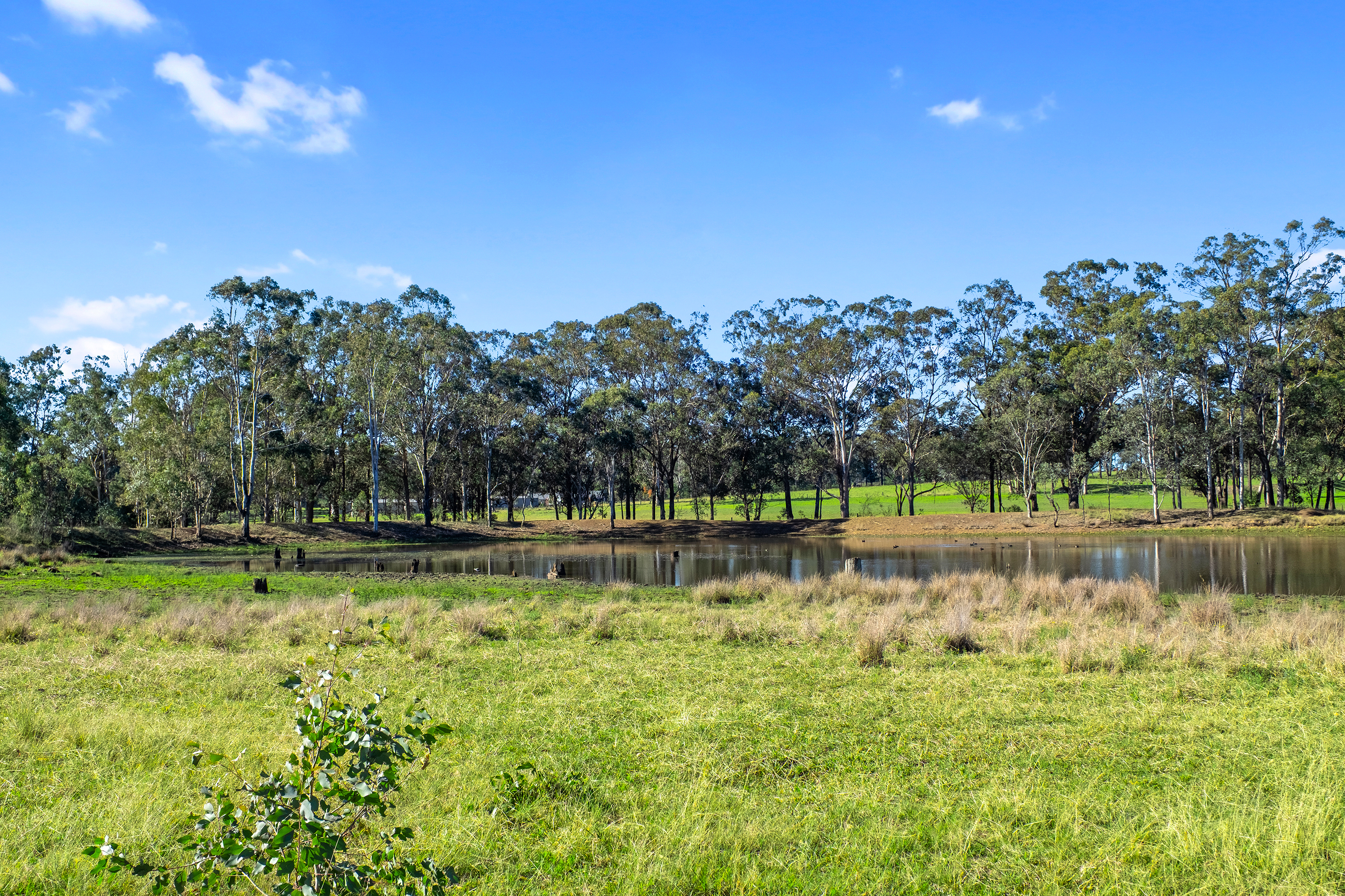 55 McKinnons Road, Wilberforce For Sale by Cutcliffe Properties - image 9