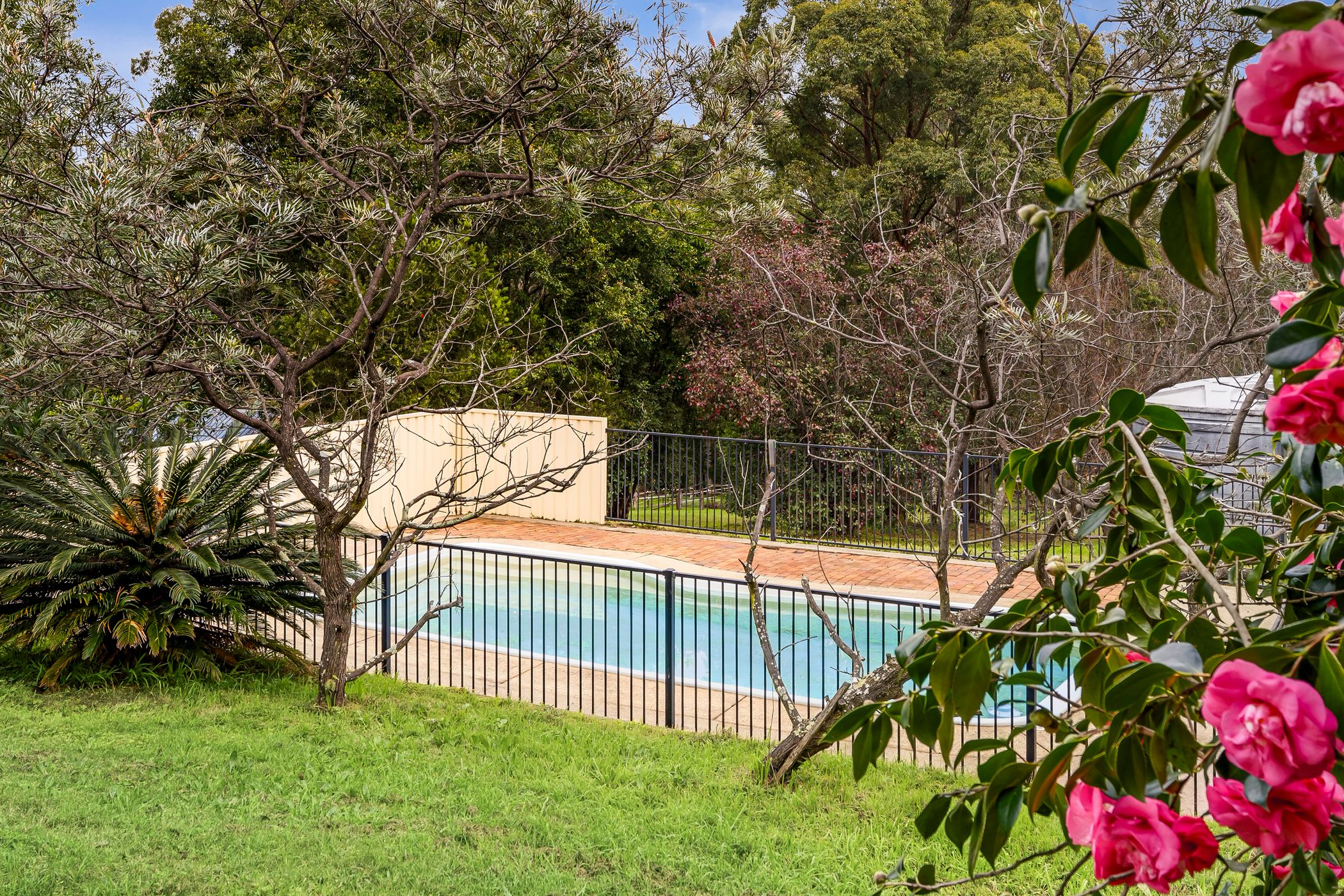 313 Grose Wold Road, Grose Wold For Sale by Cutcliffe Properties - image 11