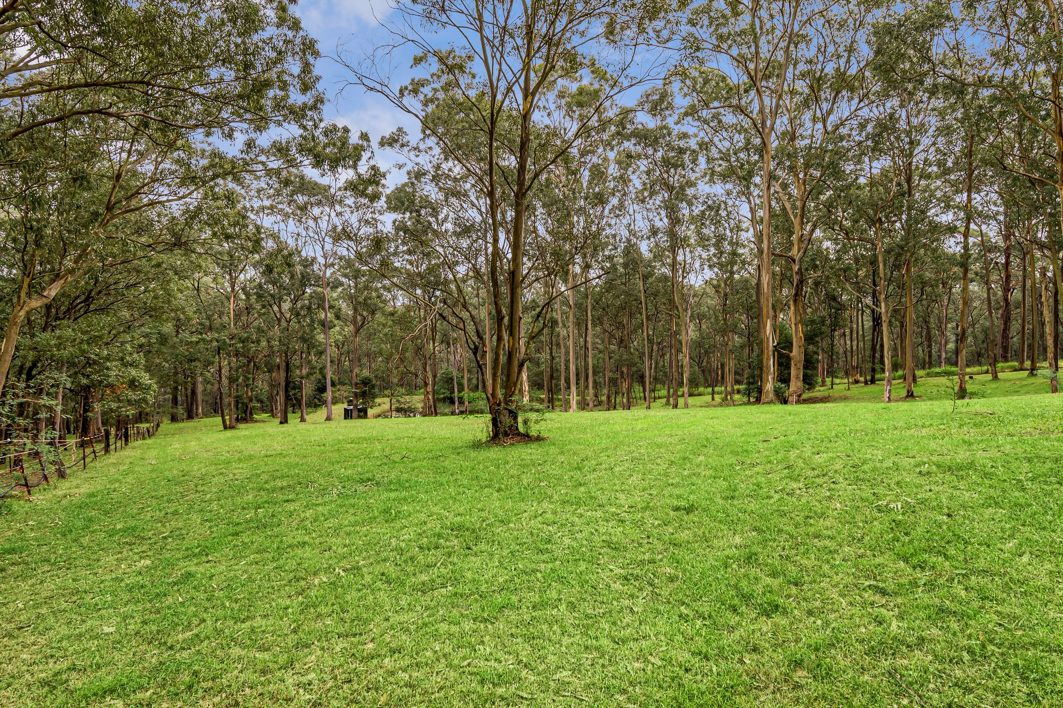 313 Grose Wold Road, Grose Wold For Sale by Cutcliffe Properties - image 14