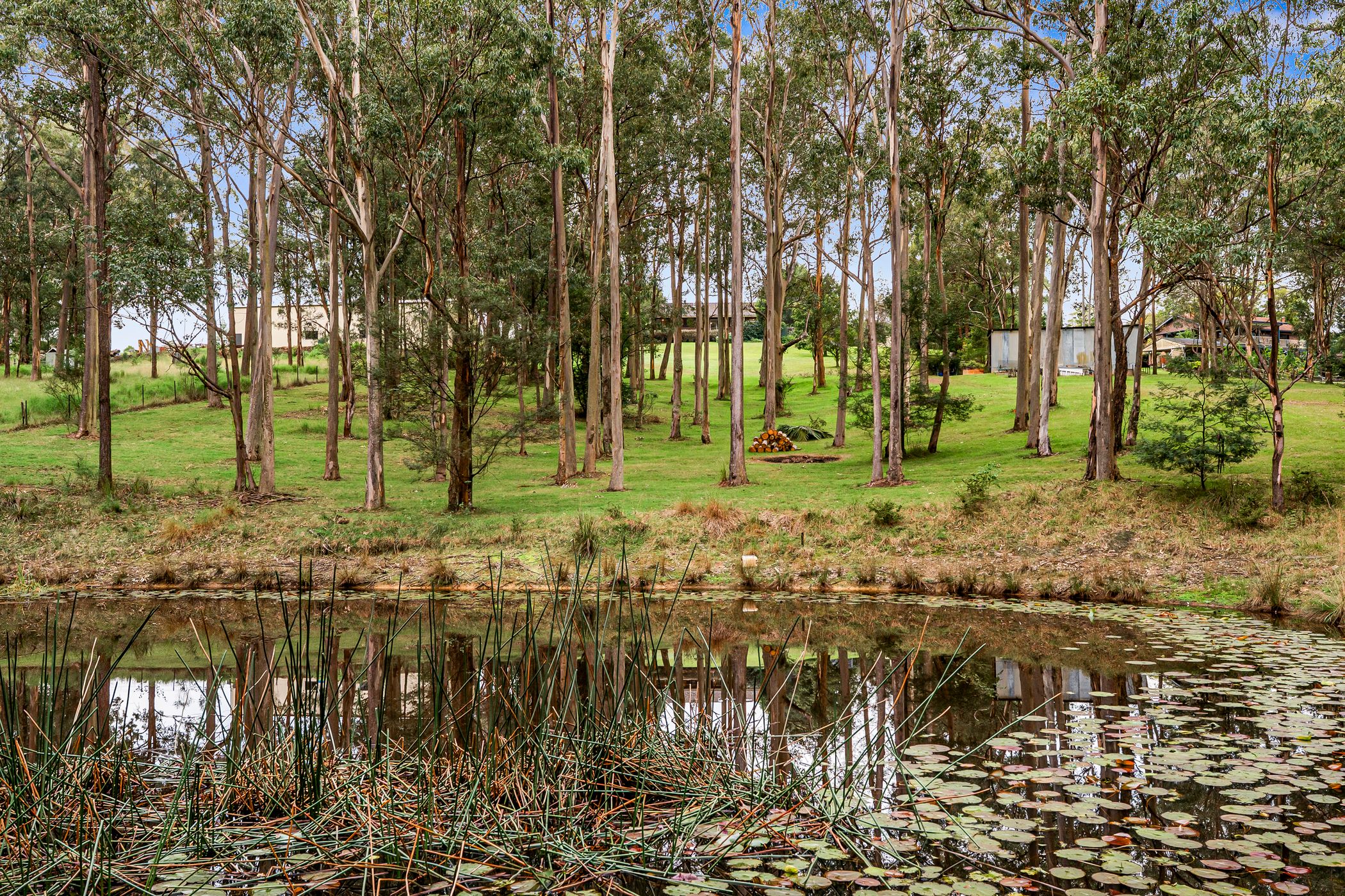 313 Grose Wold Road, Grose Wold For Sale by Cutcliffe Properties - image 15