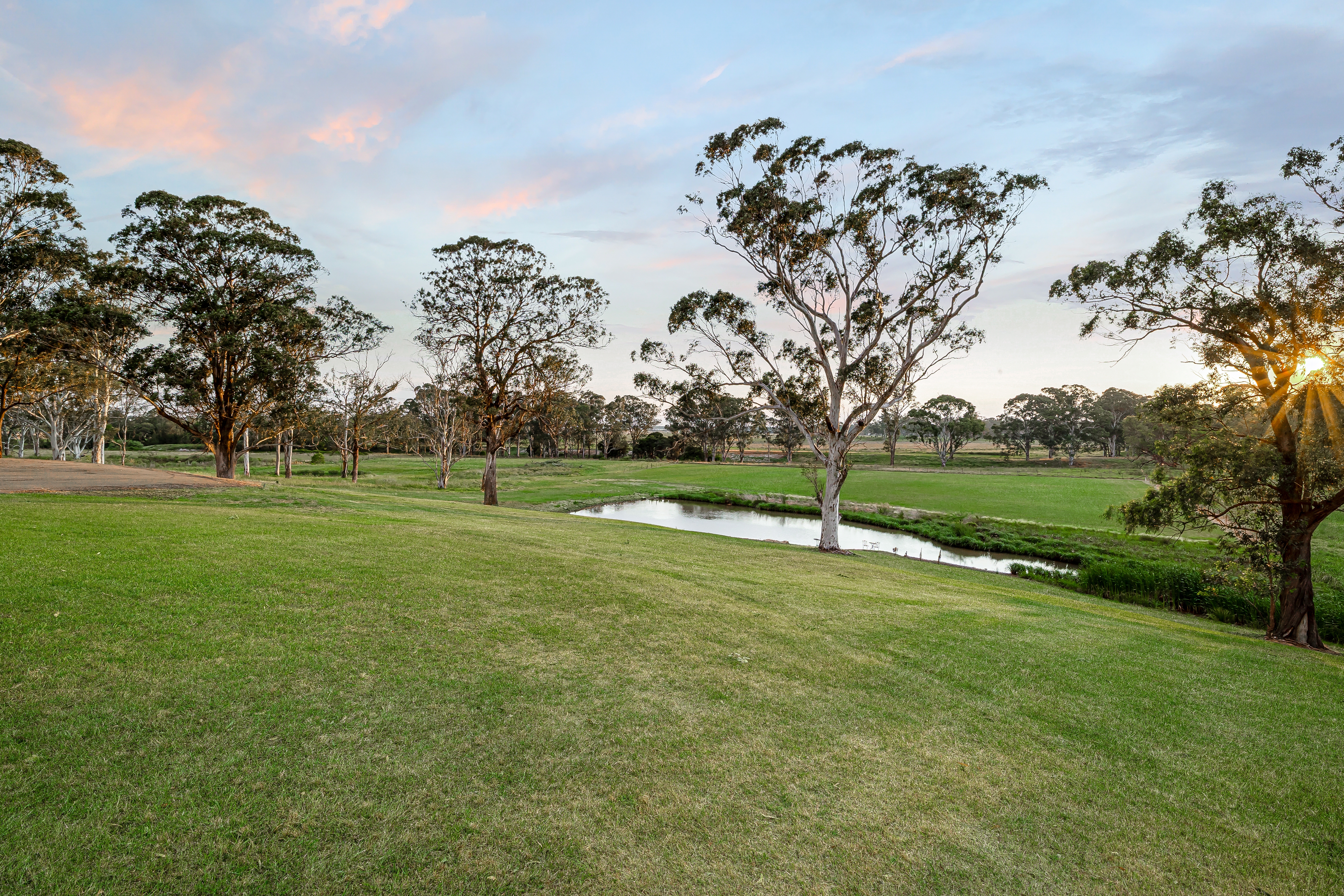 882-886 Richmond Road, Berkshire Park For Sale by Cutcliffe Properties - image 23