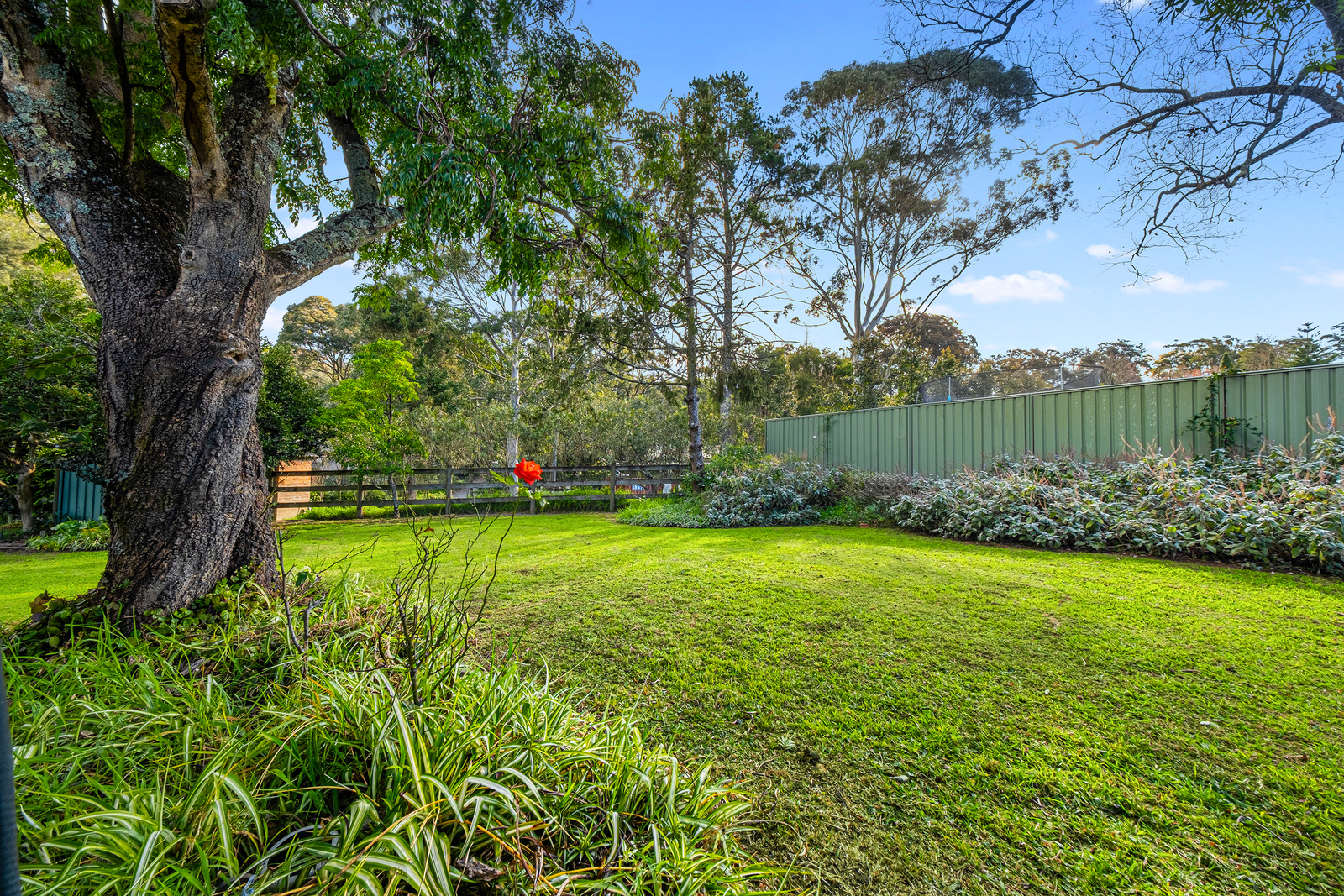 23 Pamela Crescent, Bowen Mountain For Sale by Cutcliffe Properties - image 16