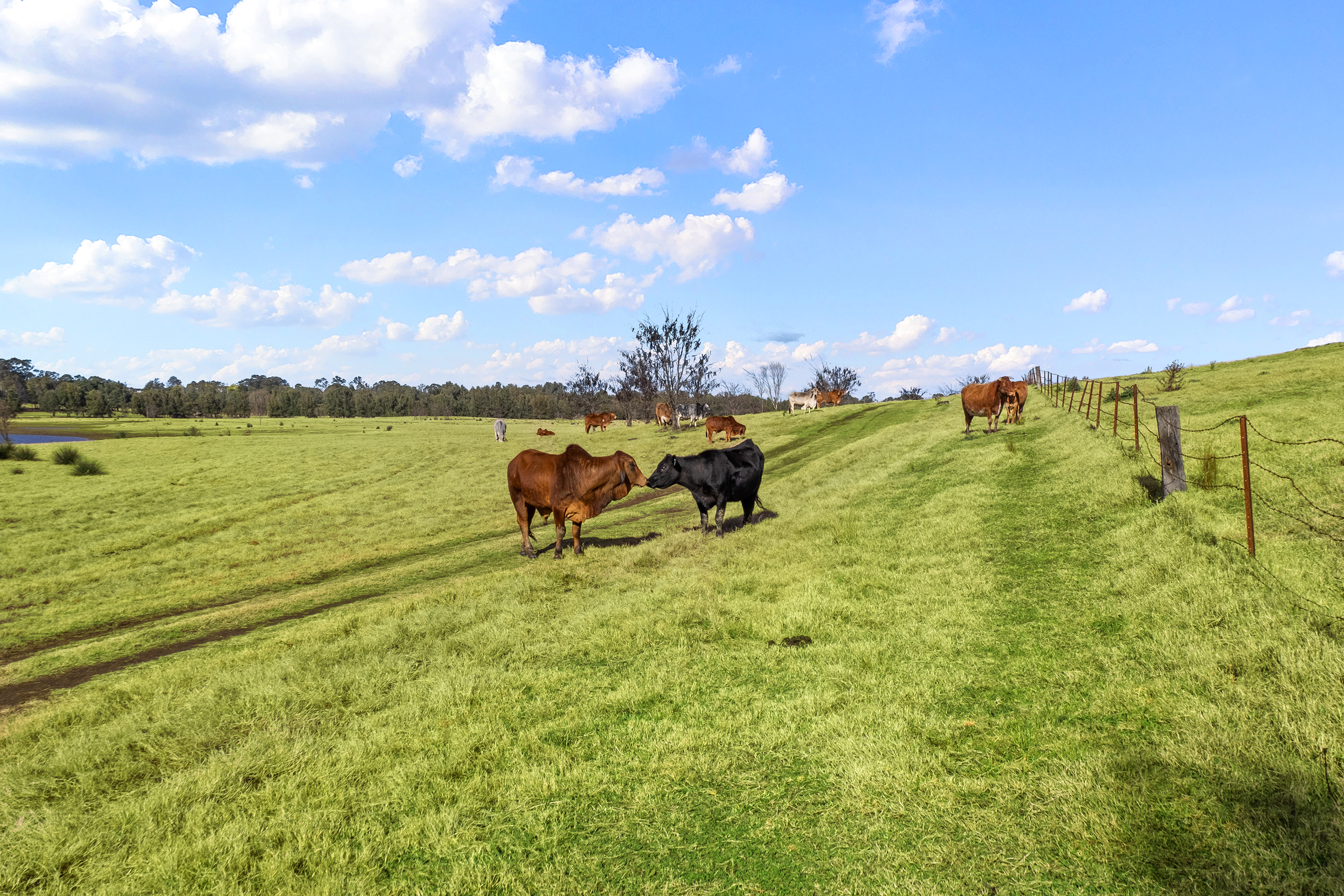 120 & 188 Hawkesbury Valley Way, Clarendon For Sale by Cutcliffe Properties - image 21