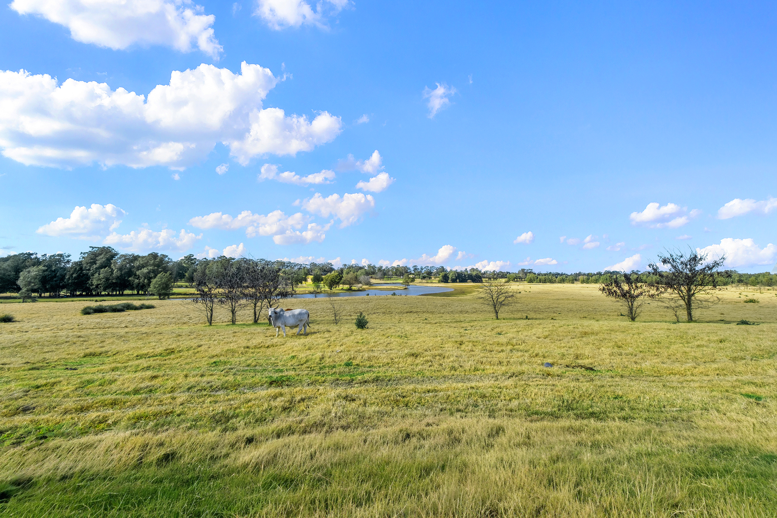 120 & 188 Hawkesbury Valley Way, Clarendon For Sale by Cutcliffe Properties - image 22