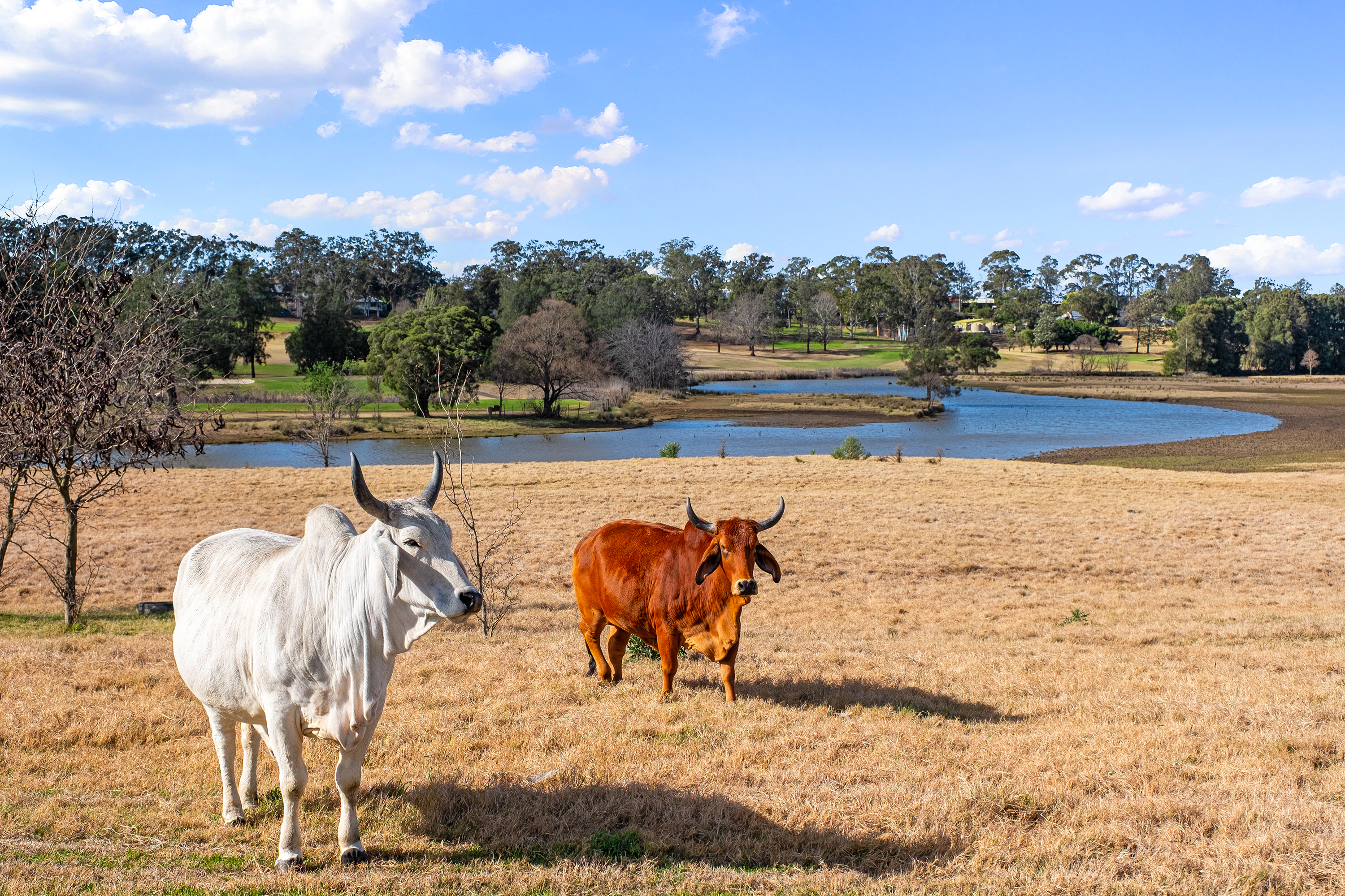 120 & 188 Hawkesbury Valley Way, Clarendon For Sale by Cutcliffe Properties - image 24