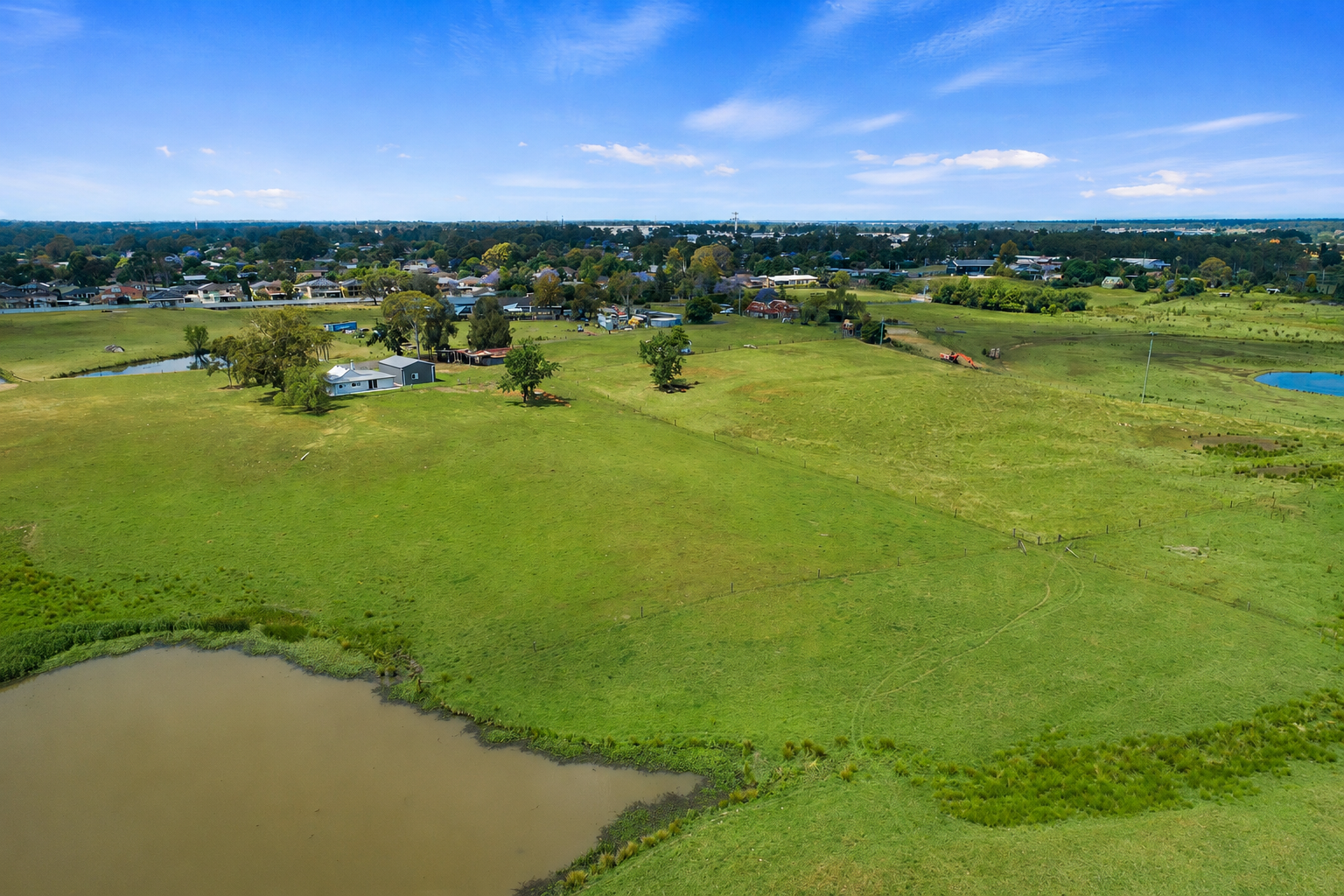 1 West Hill Street, McGraths Hill Auction by Cutcliffe Properties - image 6