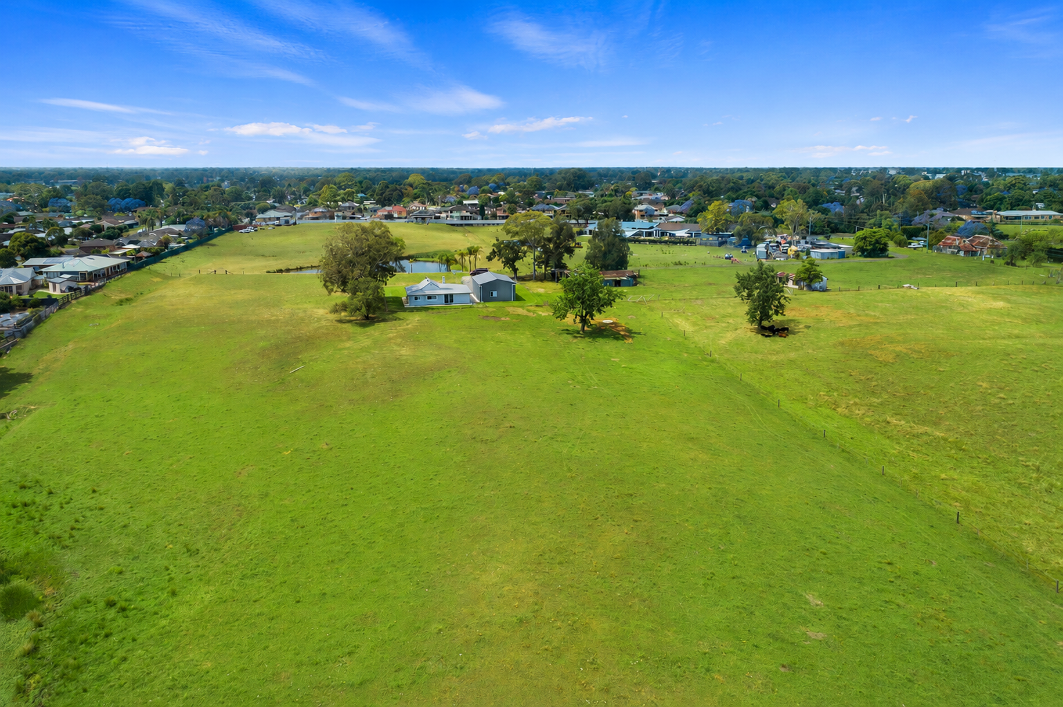 1 West Hill Street, McGraths Hill Auction by Cutcliffe Properties - image 7