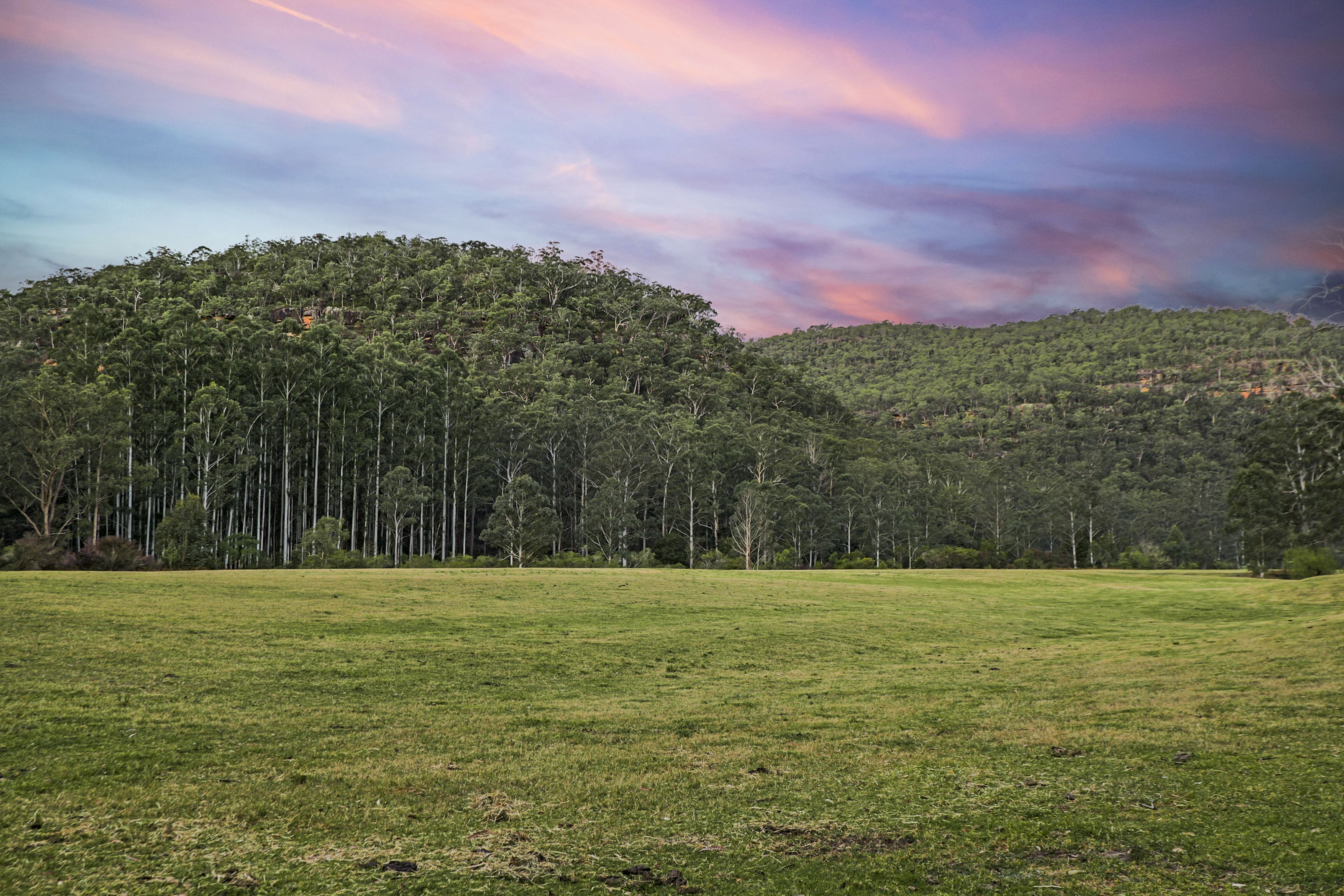 1451 Webbs Creek Road, Webbs Creek Auction by Cutcliffe Properties - image 23