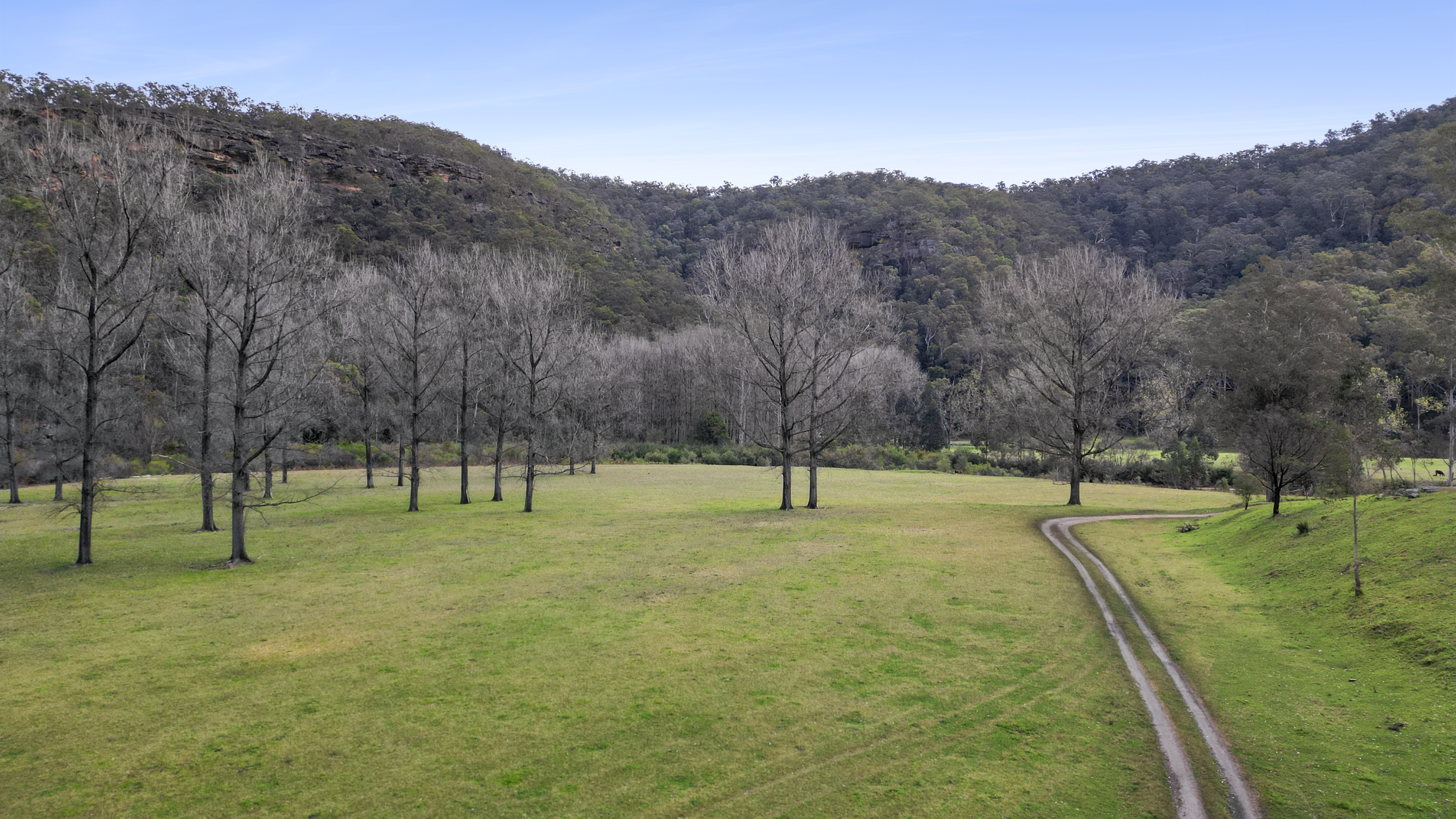 1451 Webbs Creek Road, Webbs Creek Auction by Cutcliffe Properties - image 27