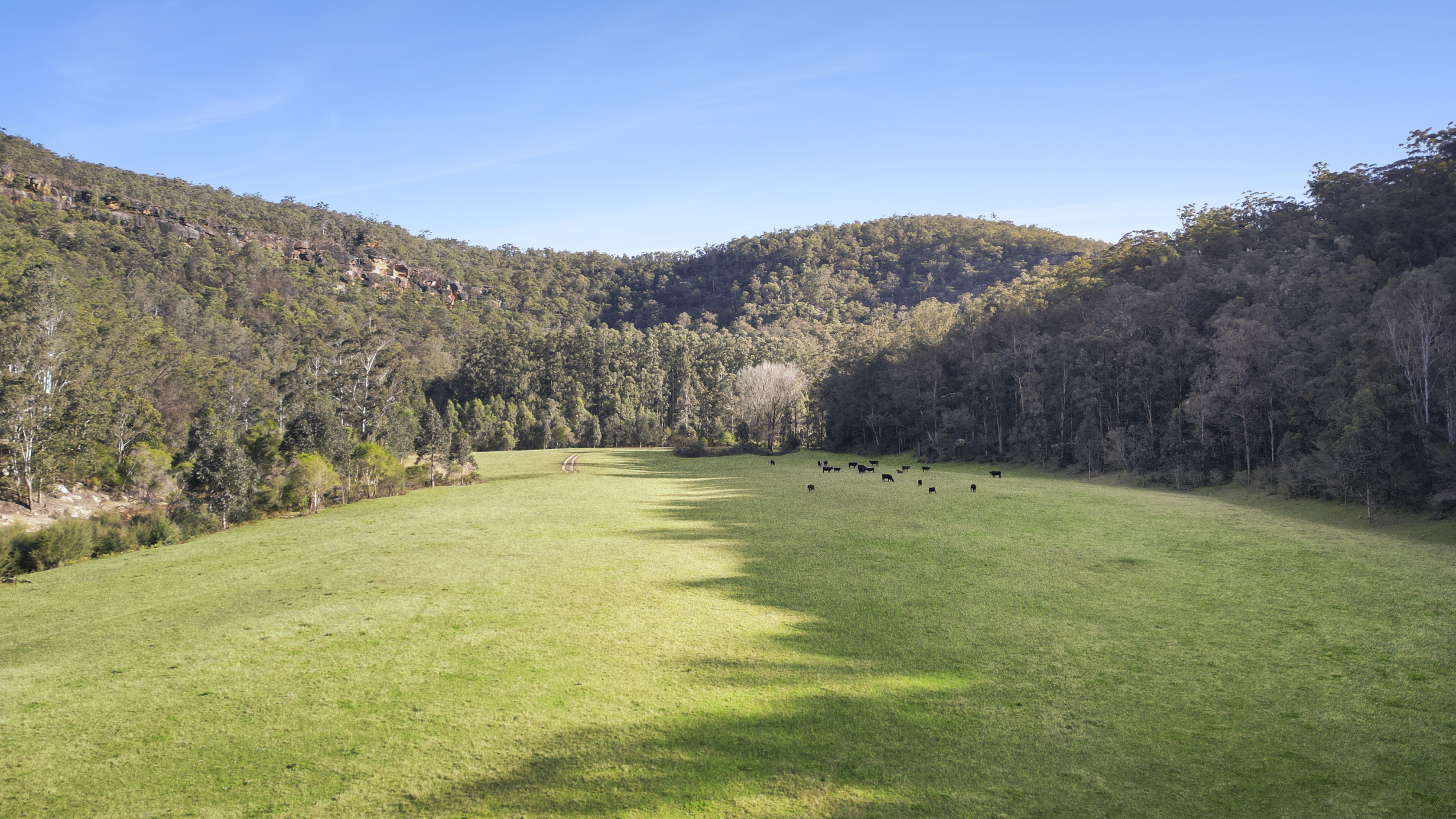 1451 Webbs Creek Road, Webbs Creek Auction by Cutcliffe Properties - image 26