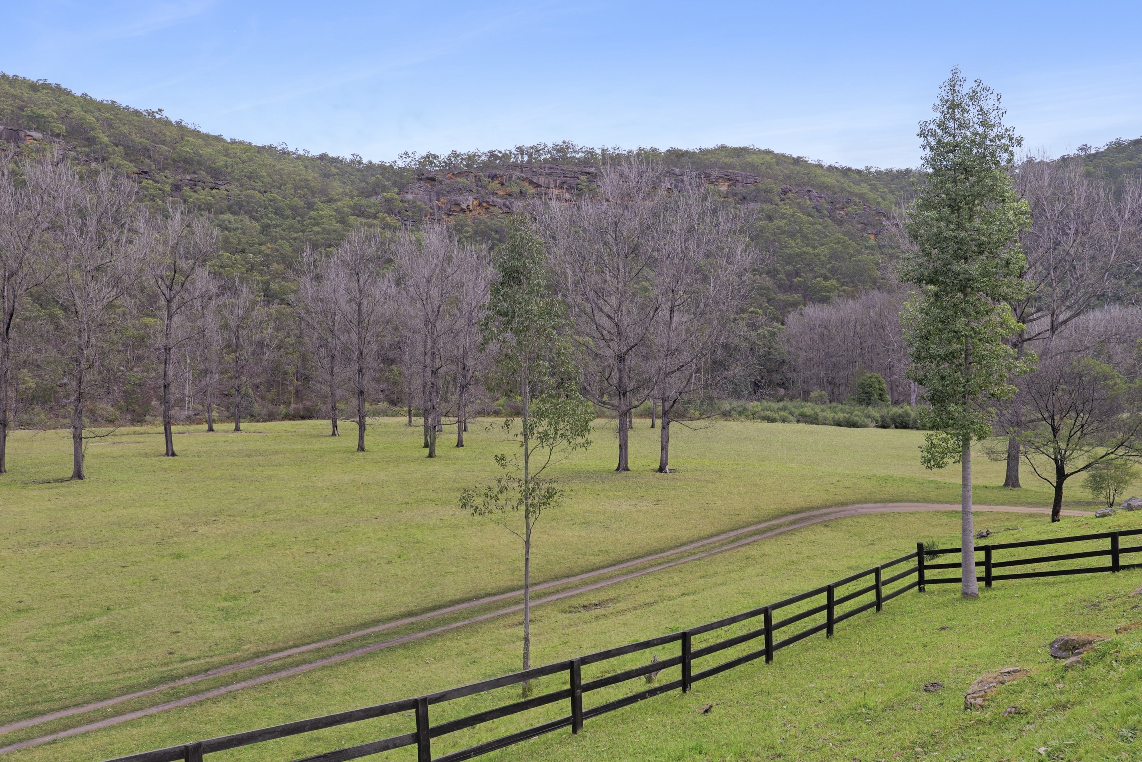 1451 Webbs Creek Road, Webbs Creek Auction by Cutcliffe Properties - image 21