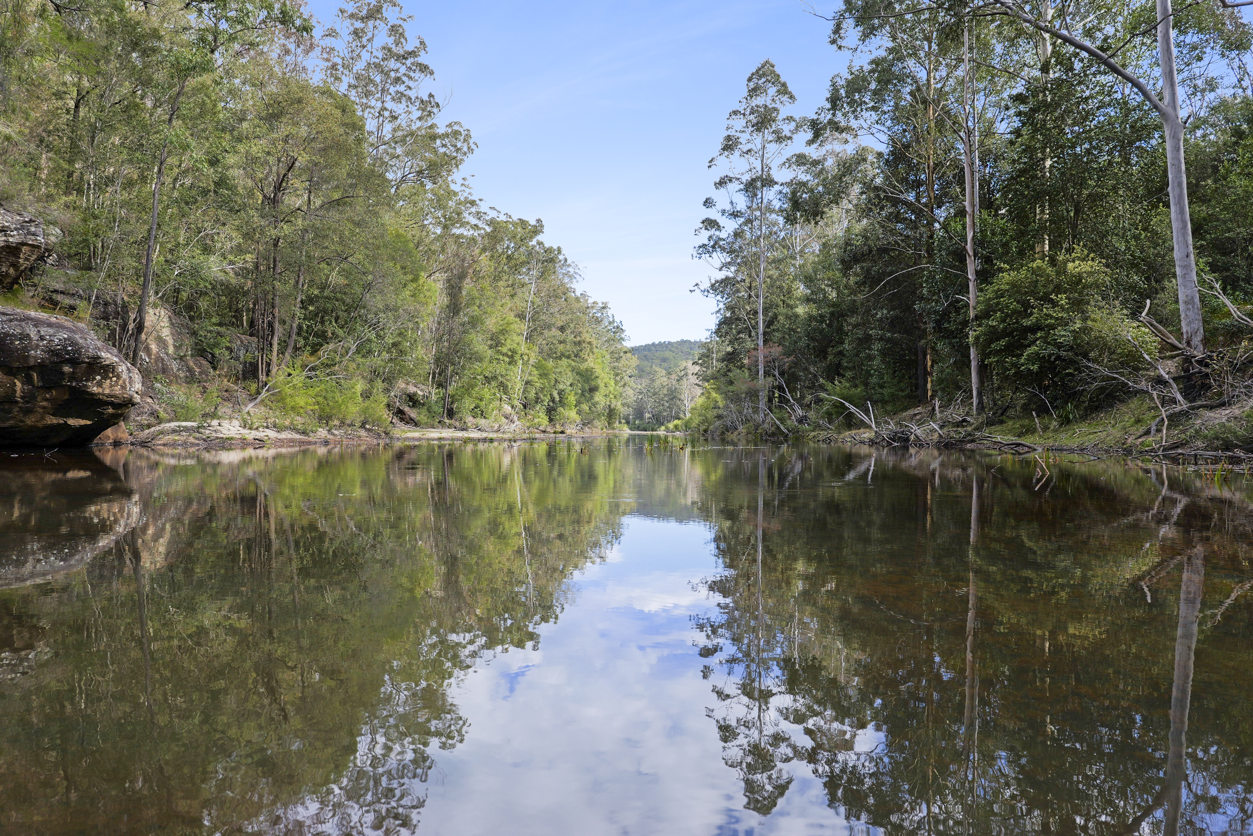 1451 Webbs Creek Road, Webbs Creek Auction by Cutcliffe Properties - image 34