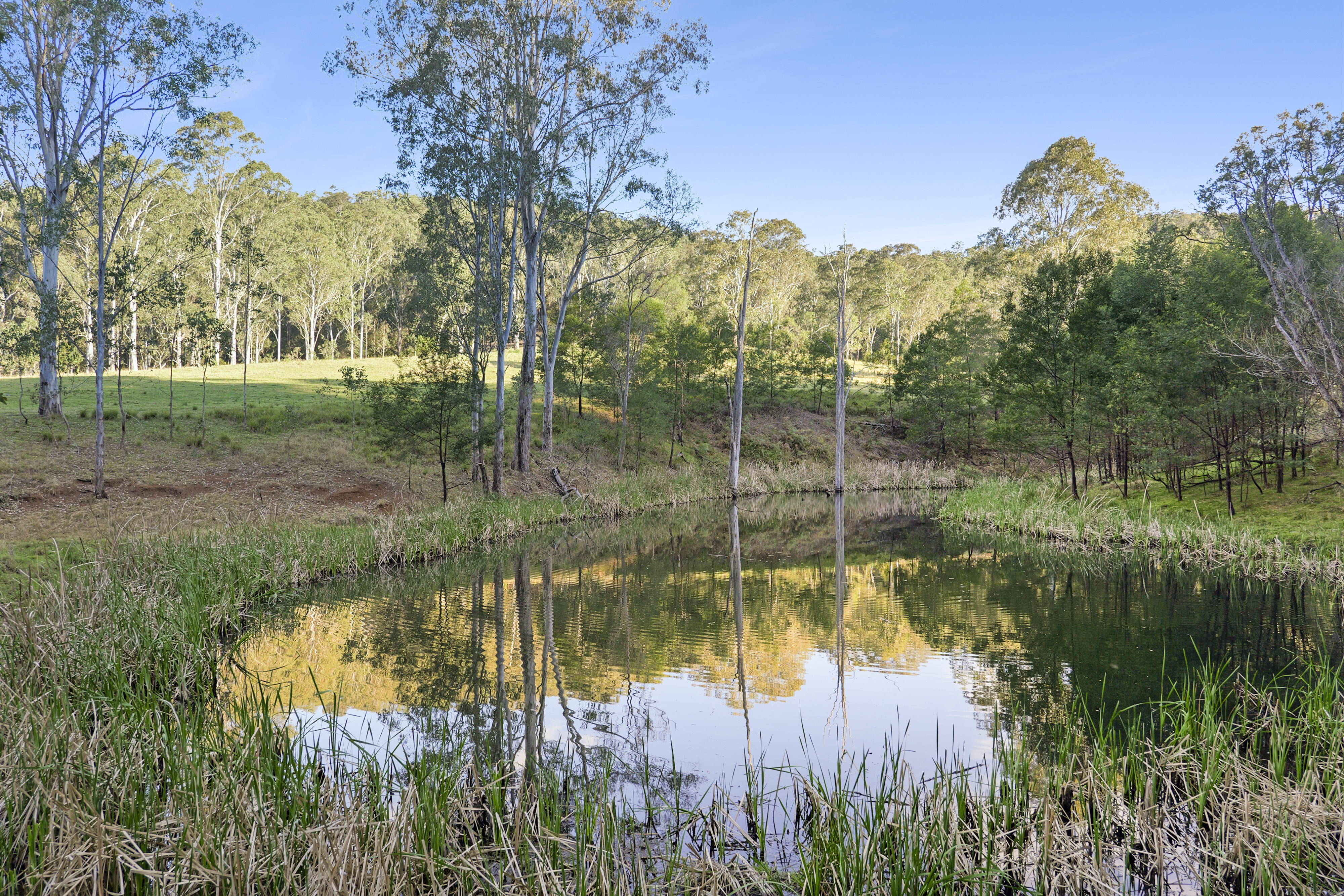 1451 Webbs Creek Road, Webbs Creek Auction by Cutcliffe Properties - image 35