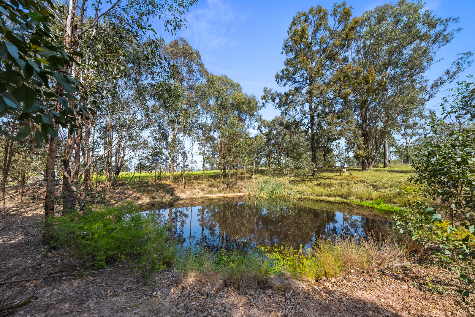 182A Sixth Avenue, Llandilo For Sale by Cutcliffe Properties - image 11