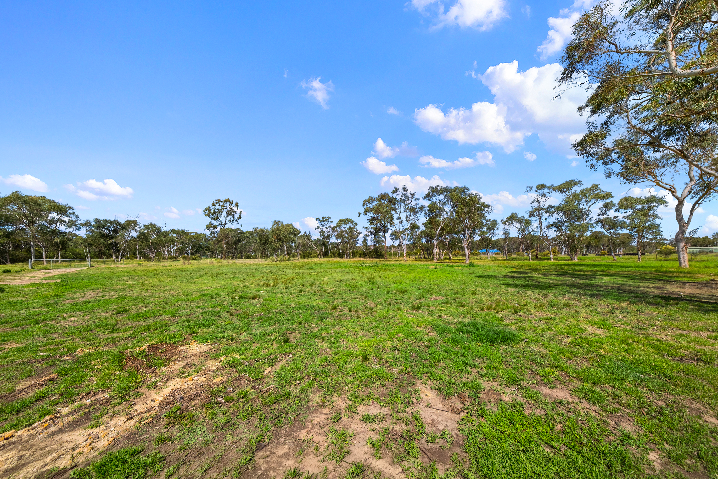 376 Nutt Road, Londonderry For Lease by Cutcliffe Properties - image 8