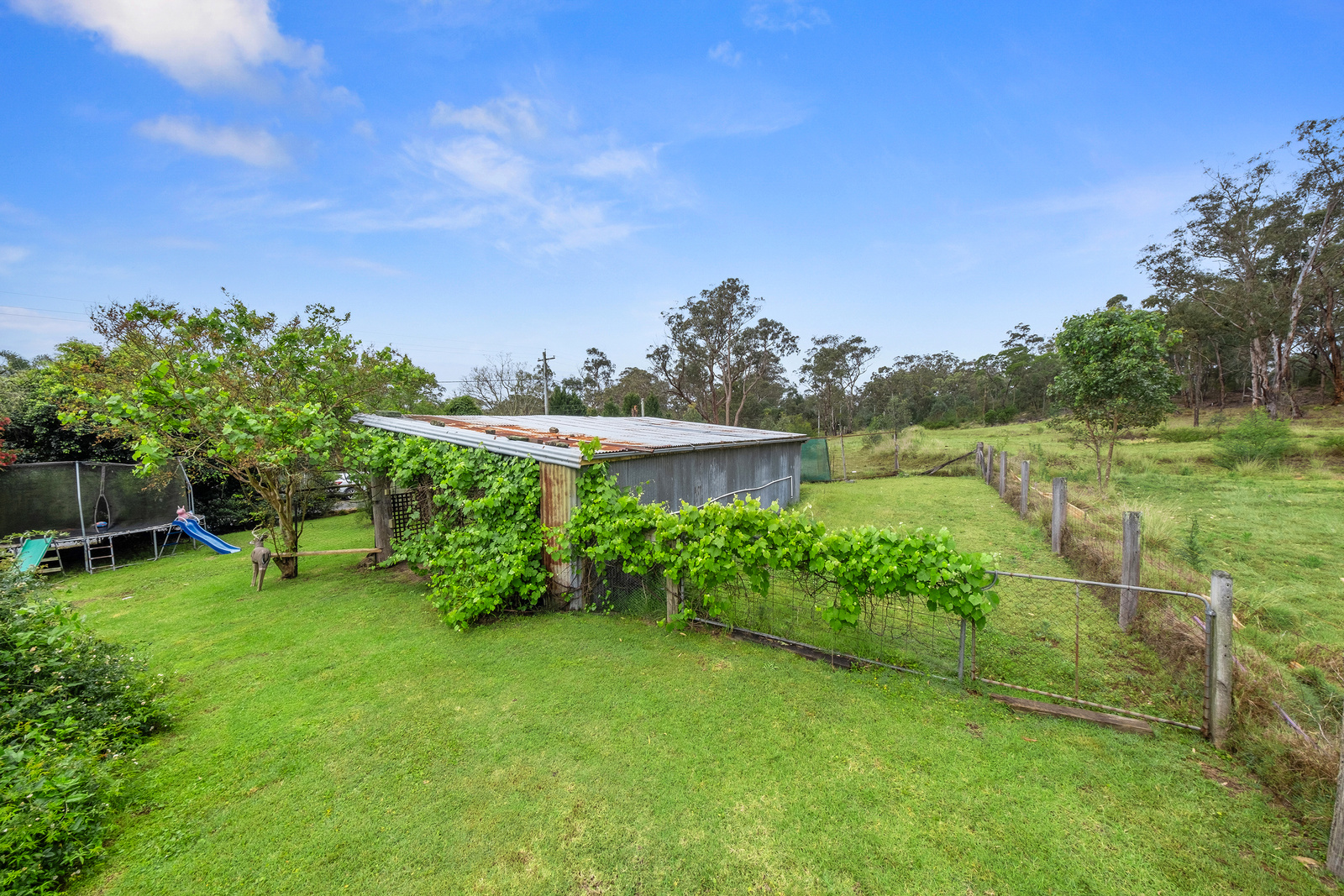 21 Old Post Office Road, Cattai For Sale by Cutcliffe Properties - image 11