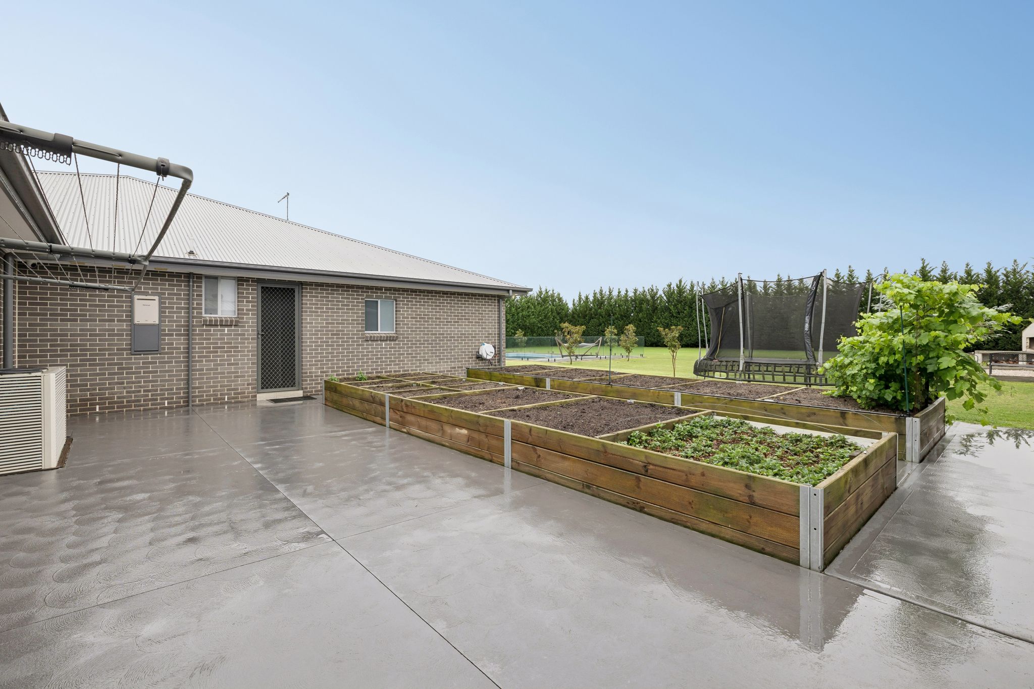 25 Hall Street, Pitt Town For Sale by Cutcliffe Properties - image 30